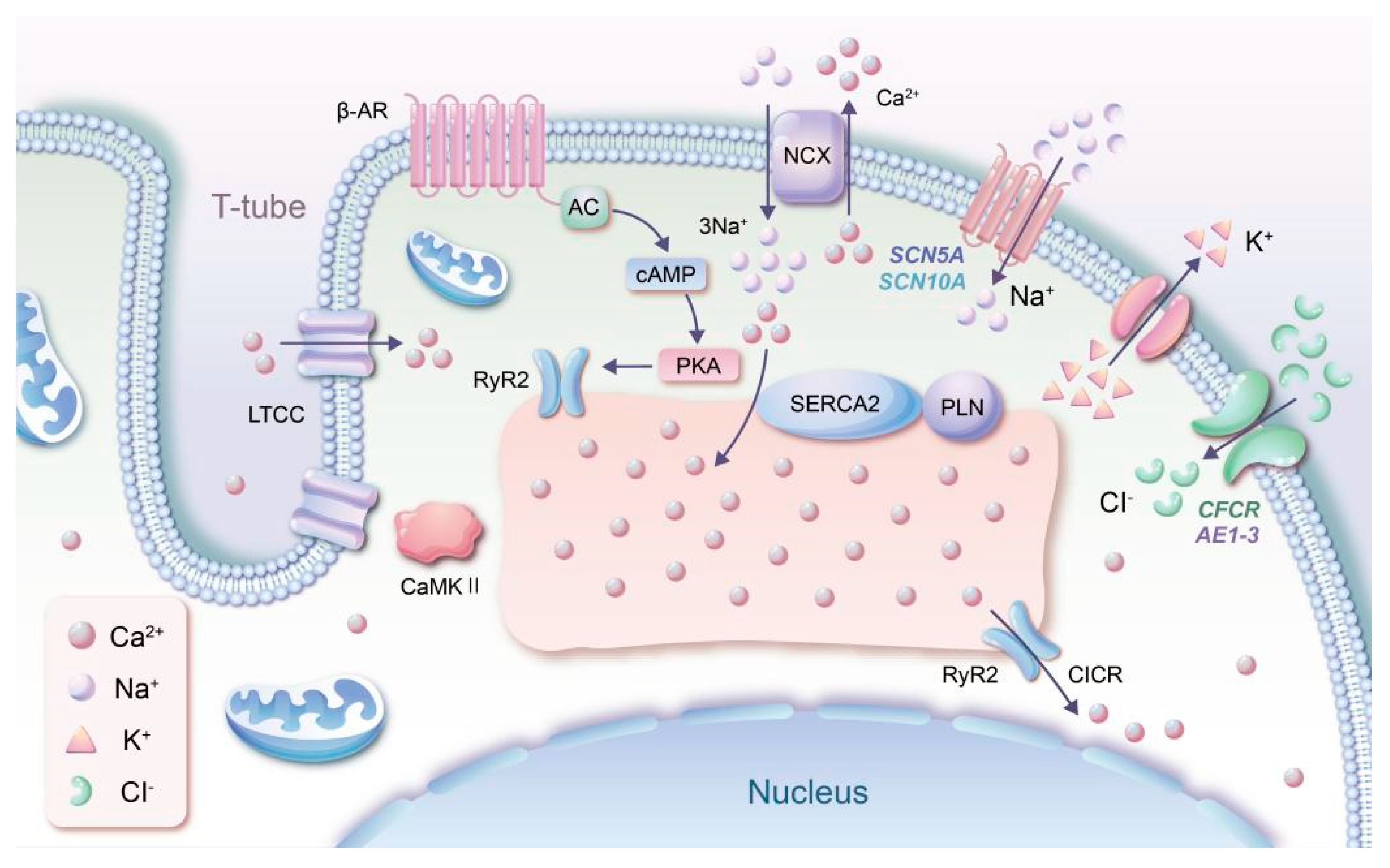 Cimb 45 00141 g001 Cimb 45 00141 g001