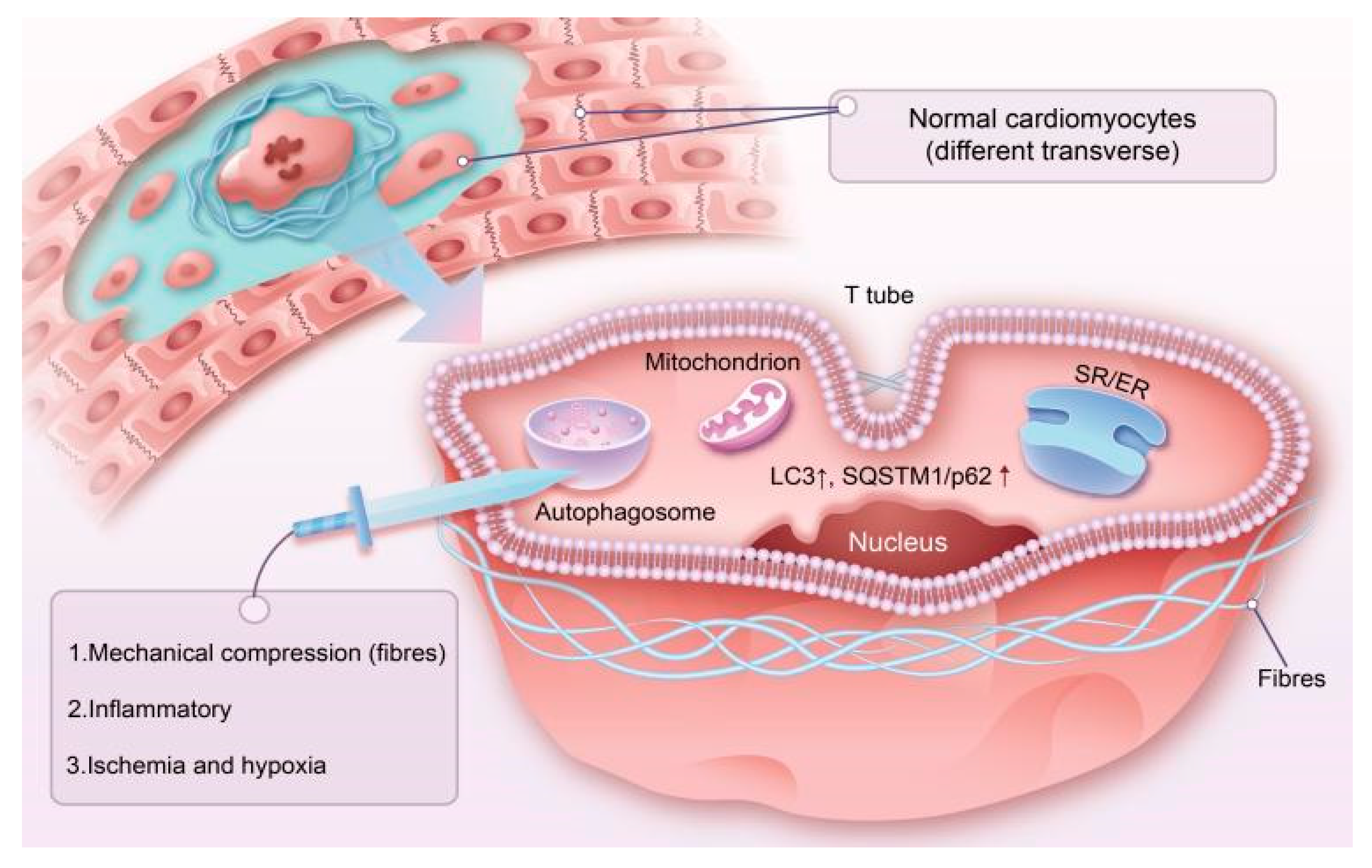 Cimb 45 00141 g002 Cimb 45 00141 g002