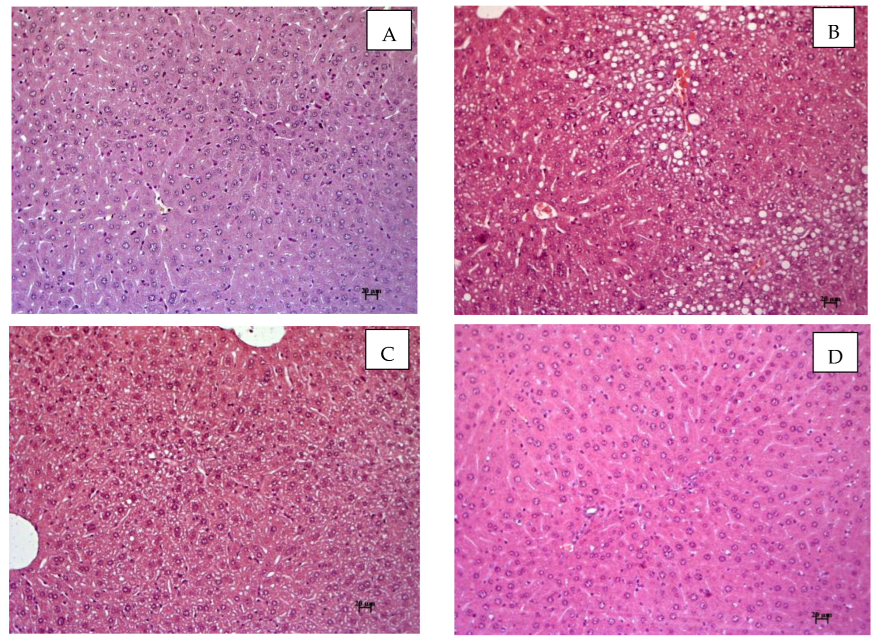 Cimb 45 00144 g008 Cimb 45 00144 g008