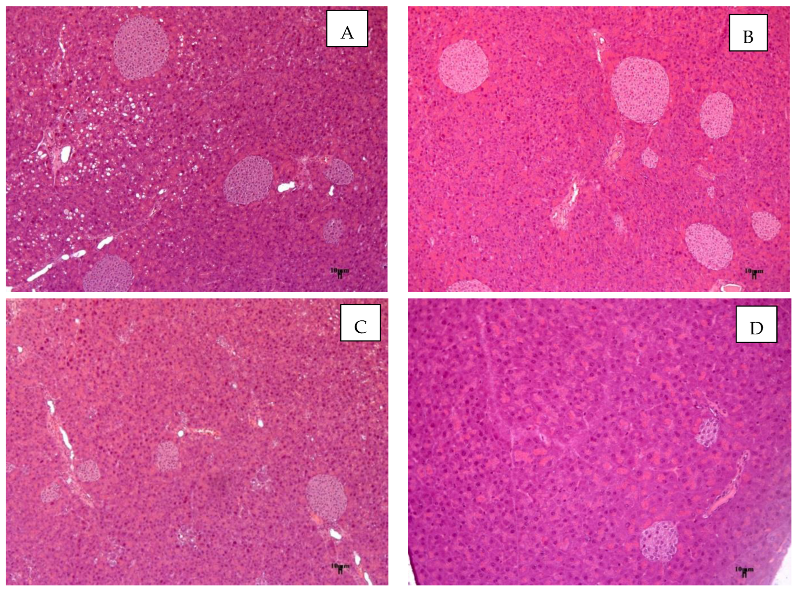 Cimb 45 00144 g009 Cimb 45 00144 g009