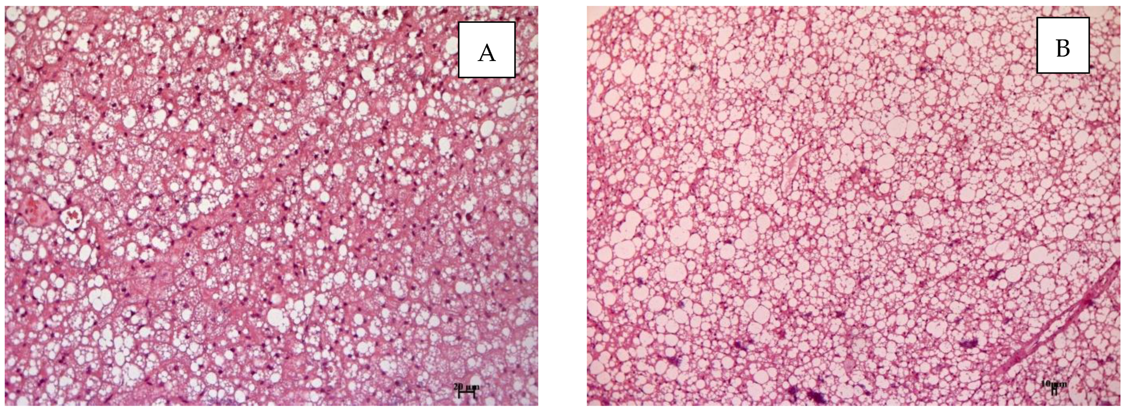 Cimb 45 00144 g010a Cimb 45 00144 g010a