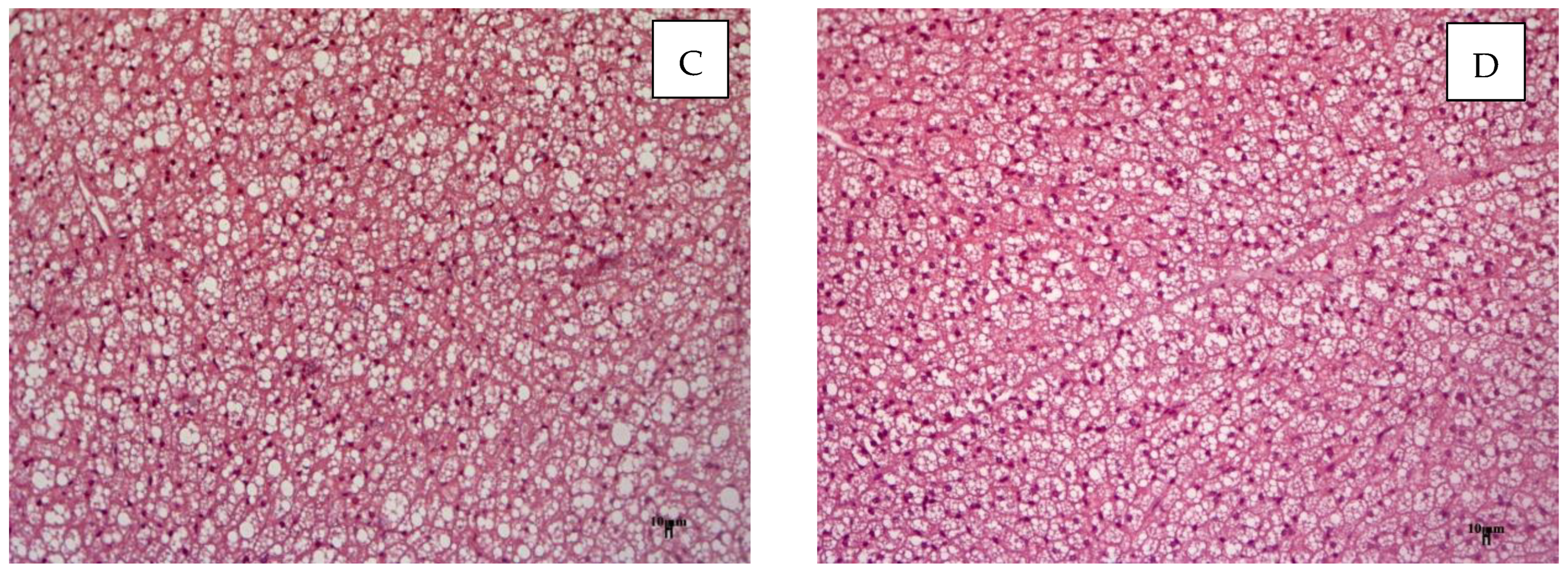 Cimb 45 00144 g010b Cimb 45 00144 g010b