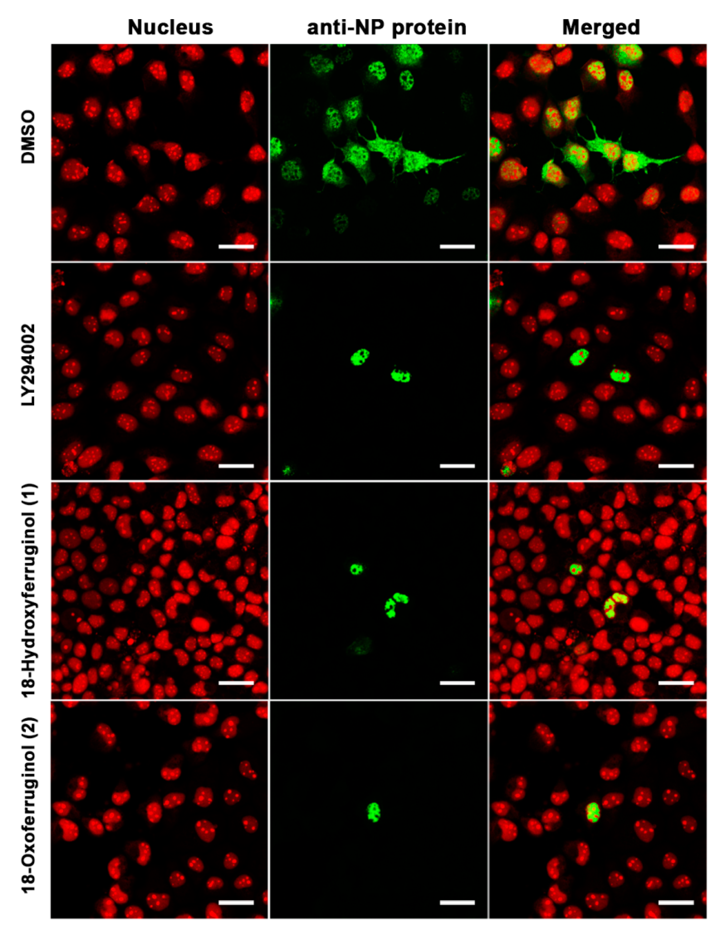 Cimb 45 00147 g003 Cimb 45 00147 g003