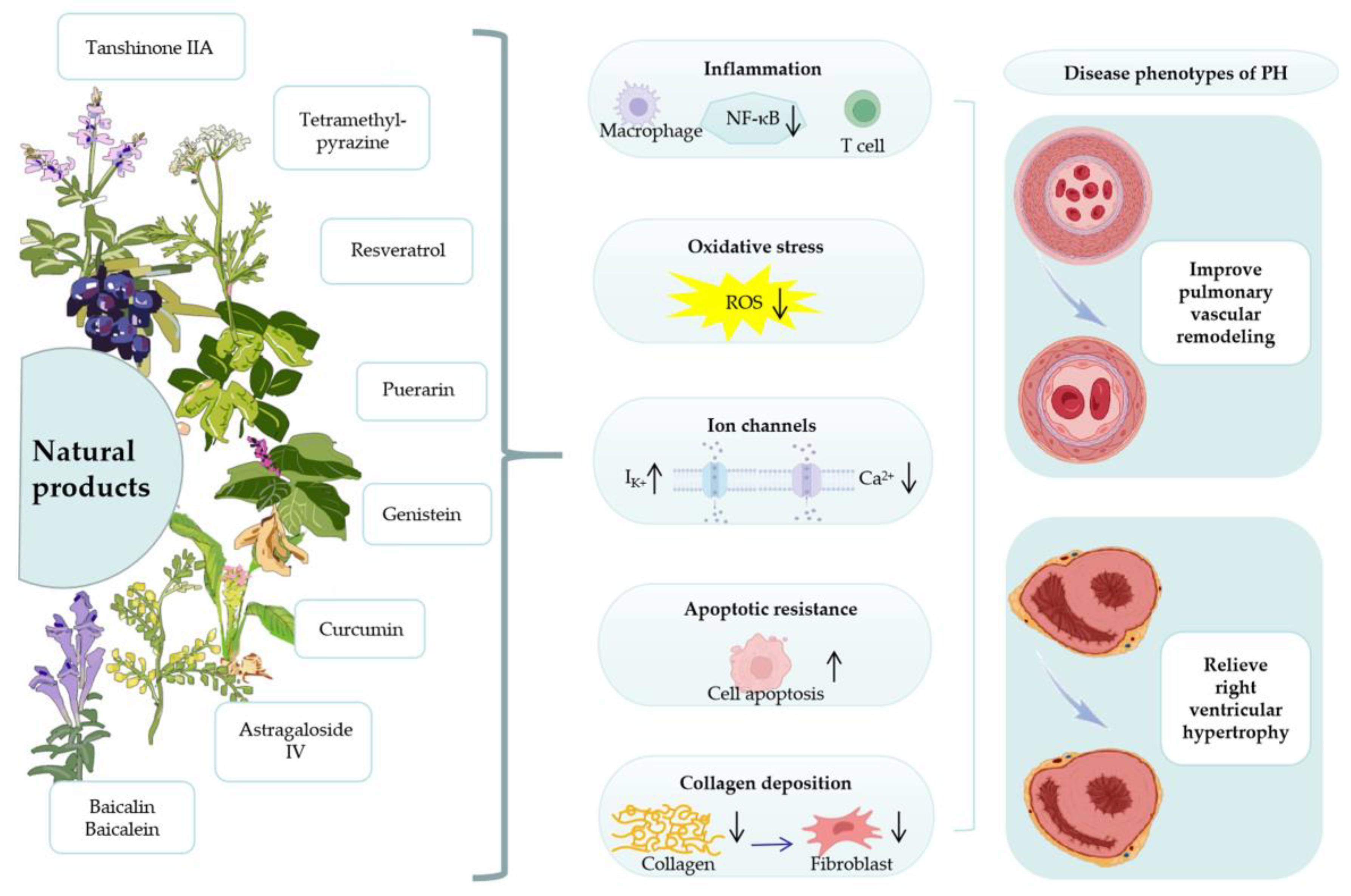 Cimb 45 00152 g001 Cimb 45 00152 g001