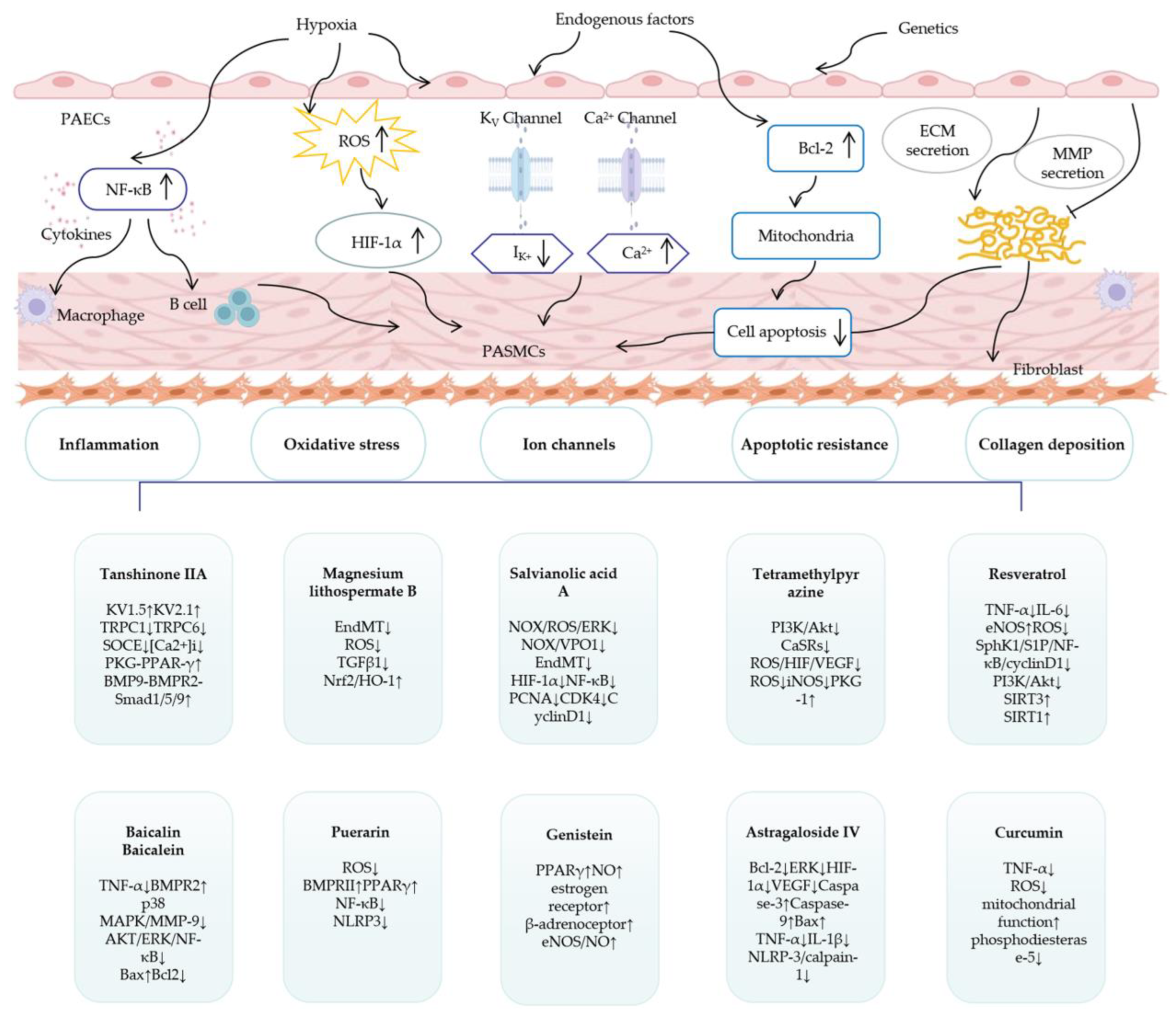 Cimb 45 00152 g003 Cimb 45 00152 g003