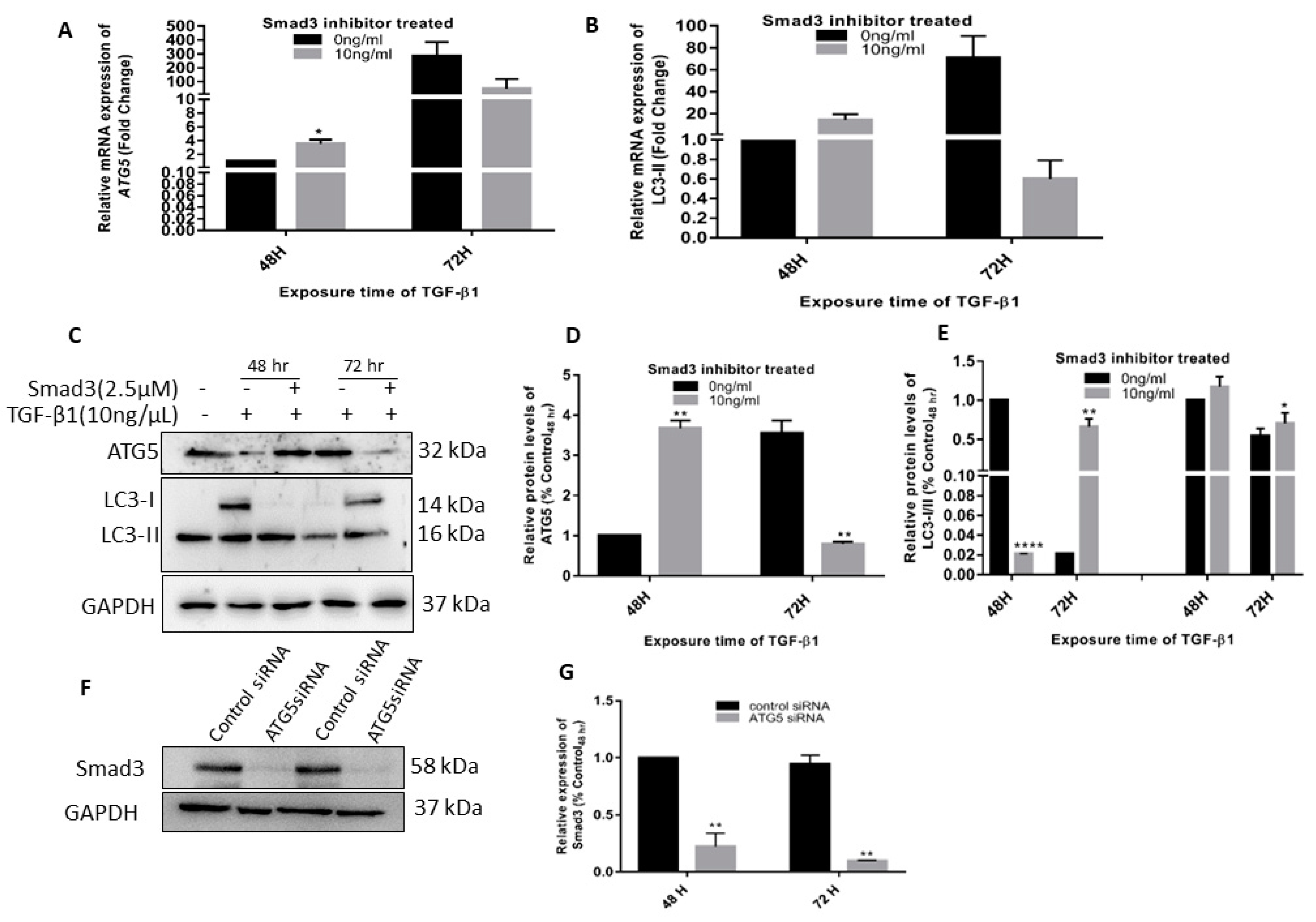 Cimb 45 00154 g004 Cimb 45 00154 g004