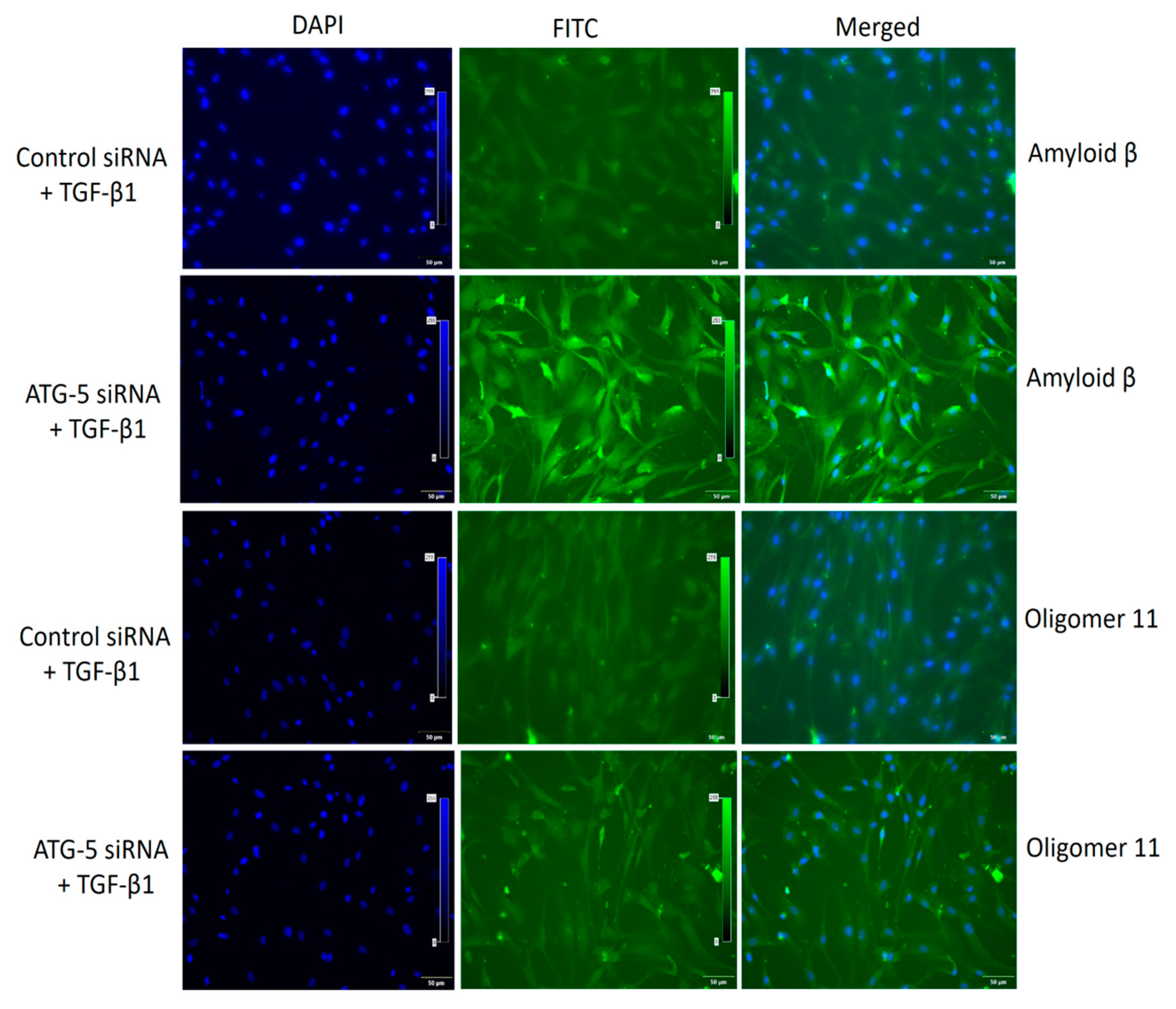 Cimb 45 00154 g007 Cimb 45 00154 g007