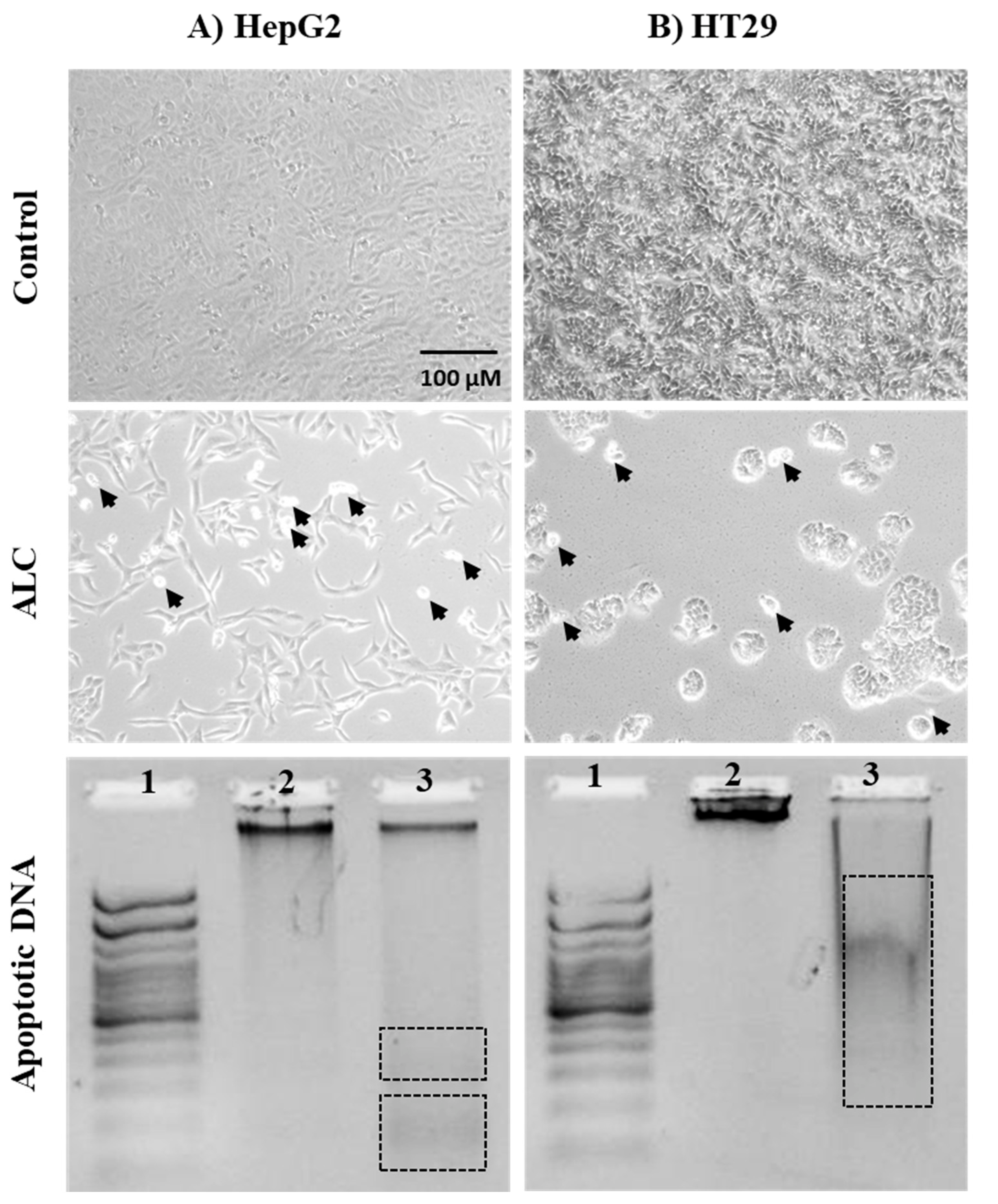 Cimb 45 00155 g004 Cimb 45 00155 g004