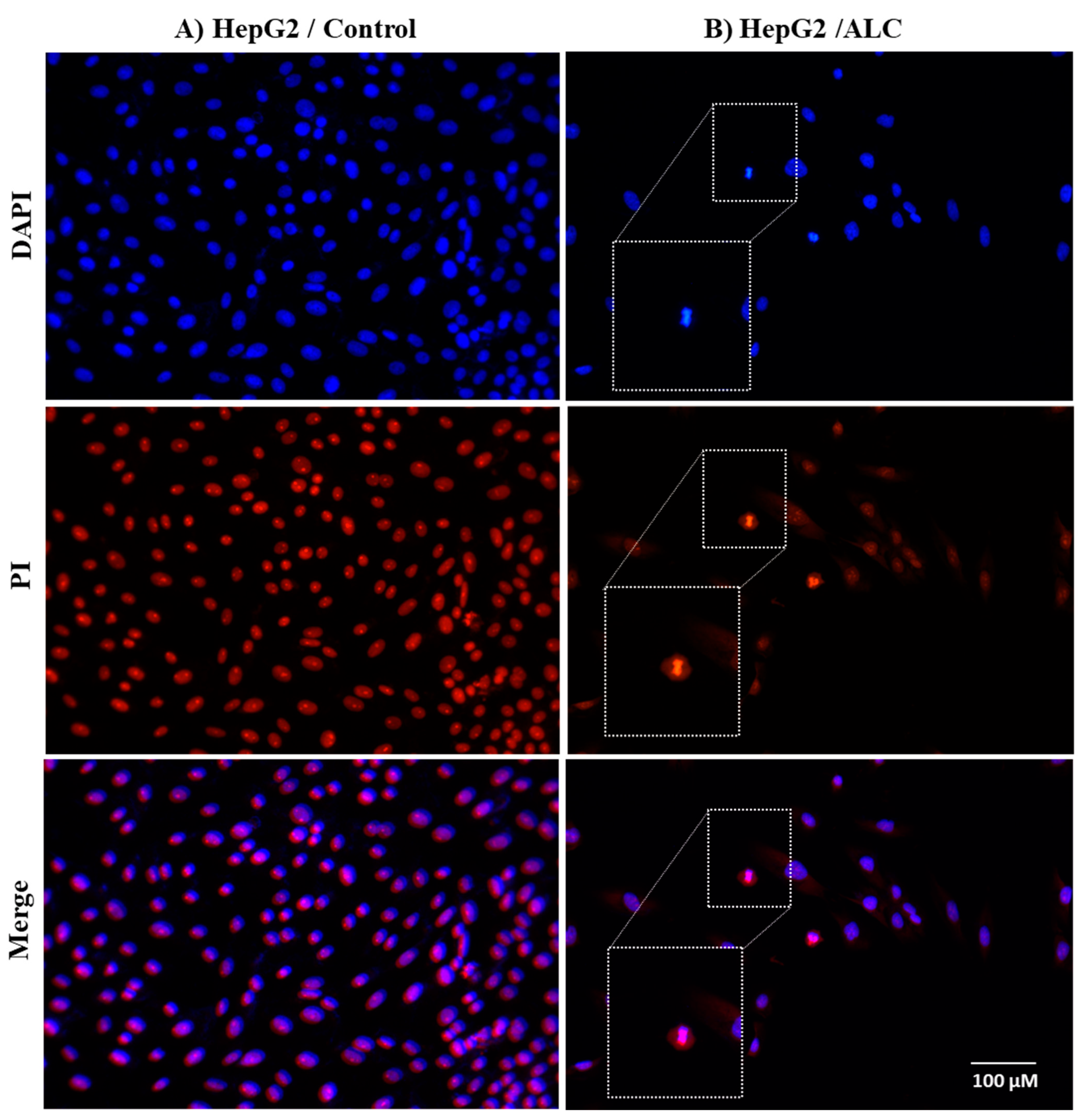 Cimb 45 00155 g005 Cimb 45 00155 g005
