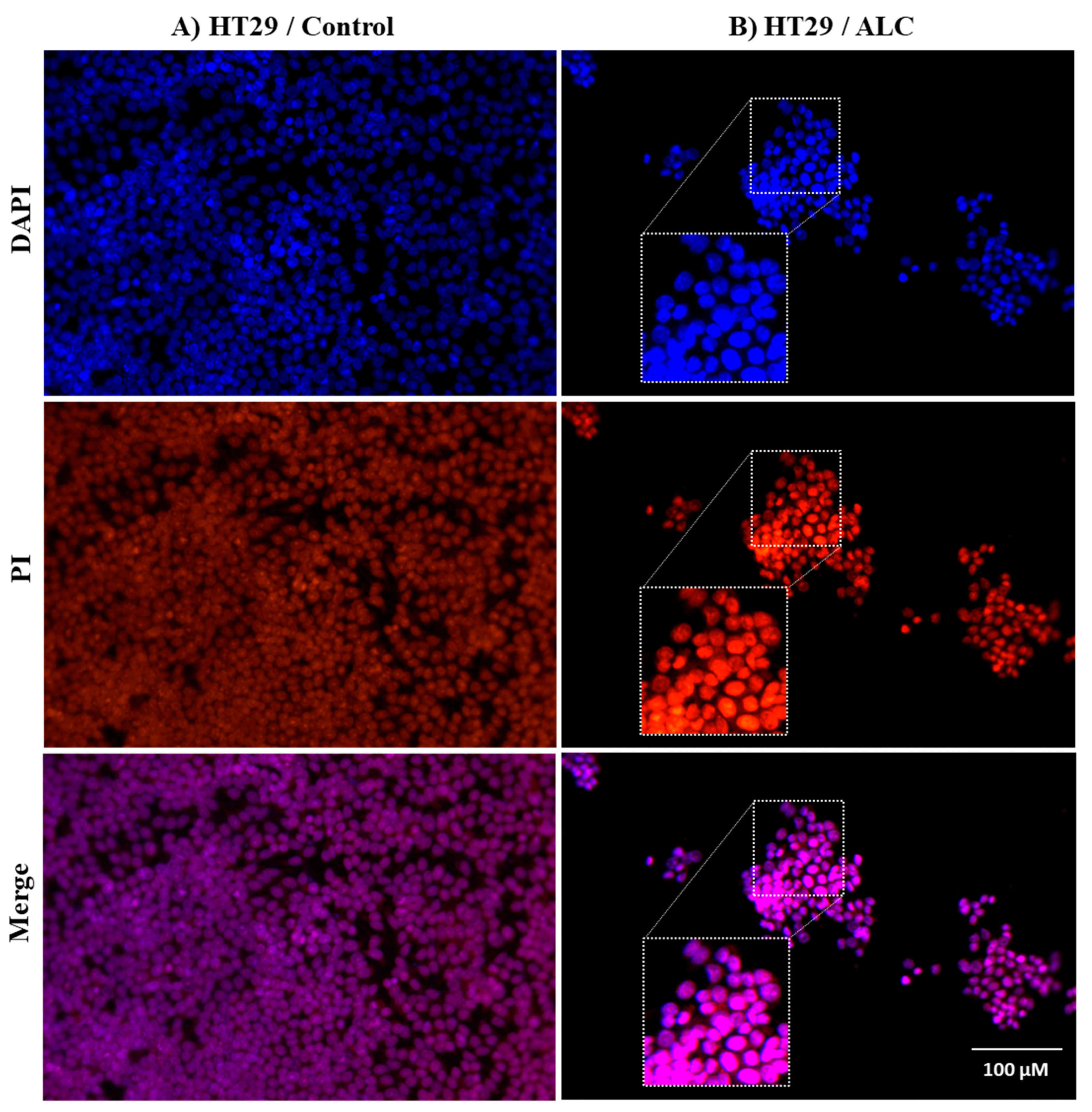 Cimb 45 00155 g006 Cimb 45 00155 g006