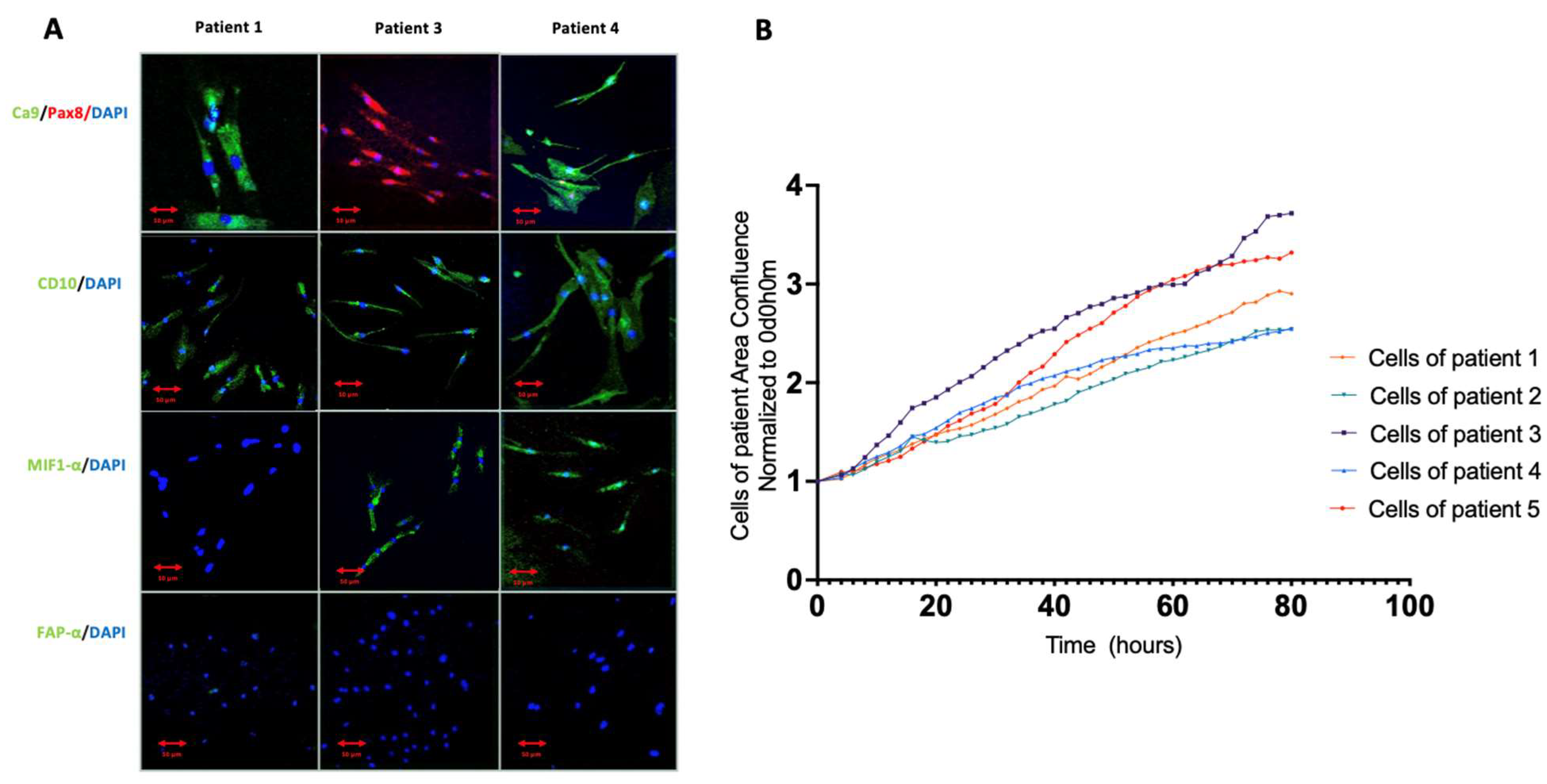 Cimb 45 00163 g001 Cimb 45 00163 g001