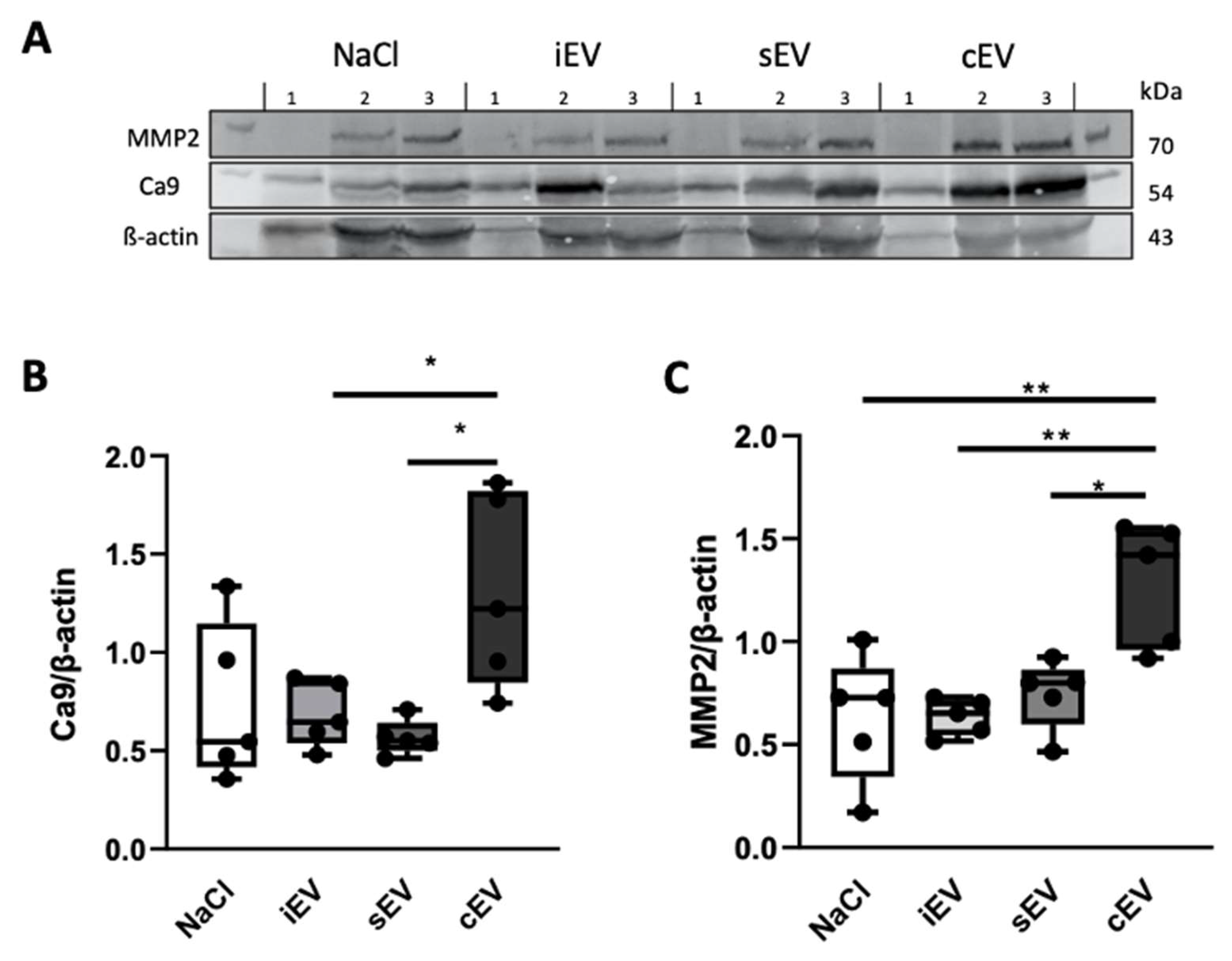 Cimb 45 00163 g004 Cimb 45 00163 g004
