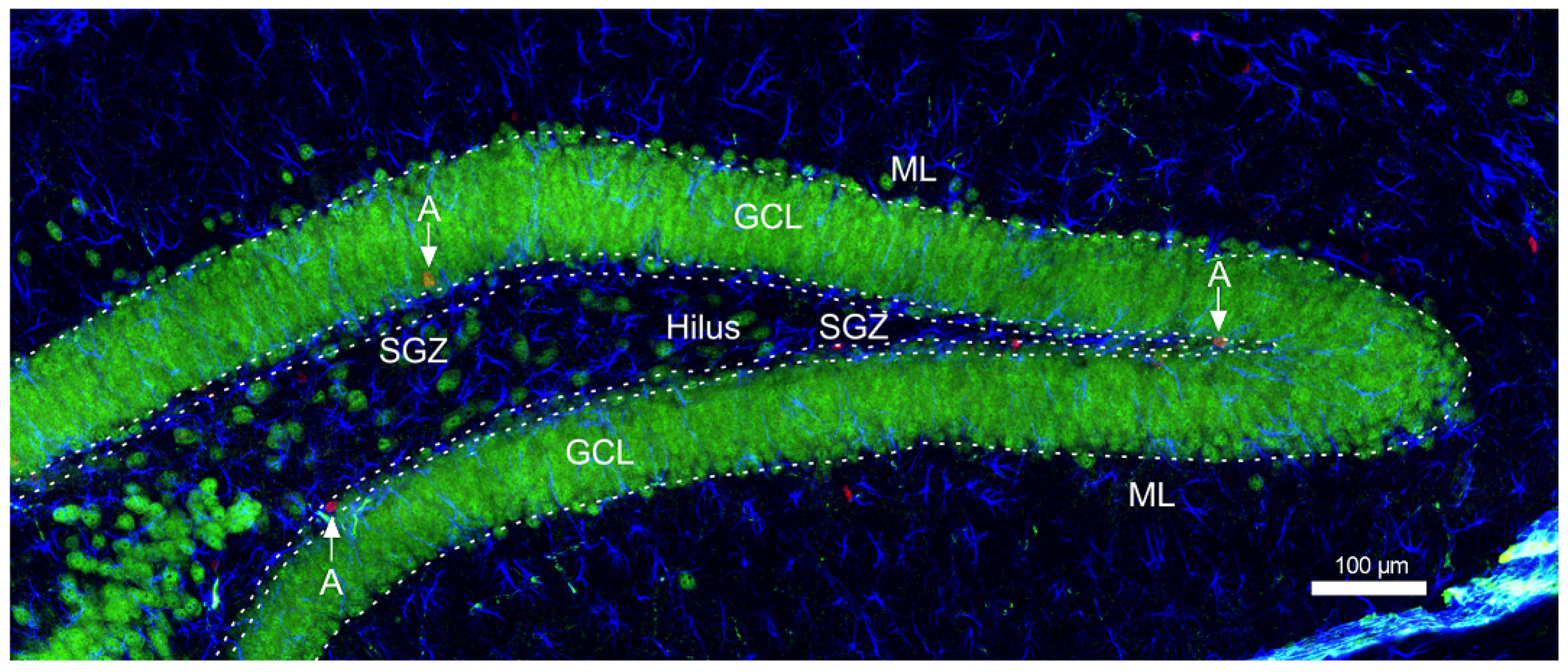 Cimb 45 00168 g002 Cimb 45 00168 g002