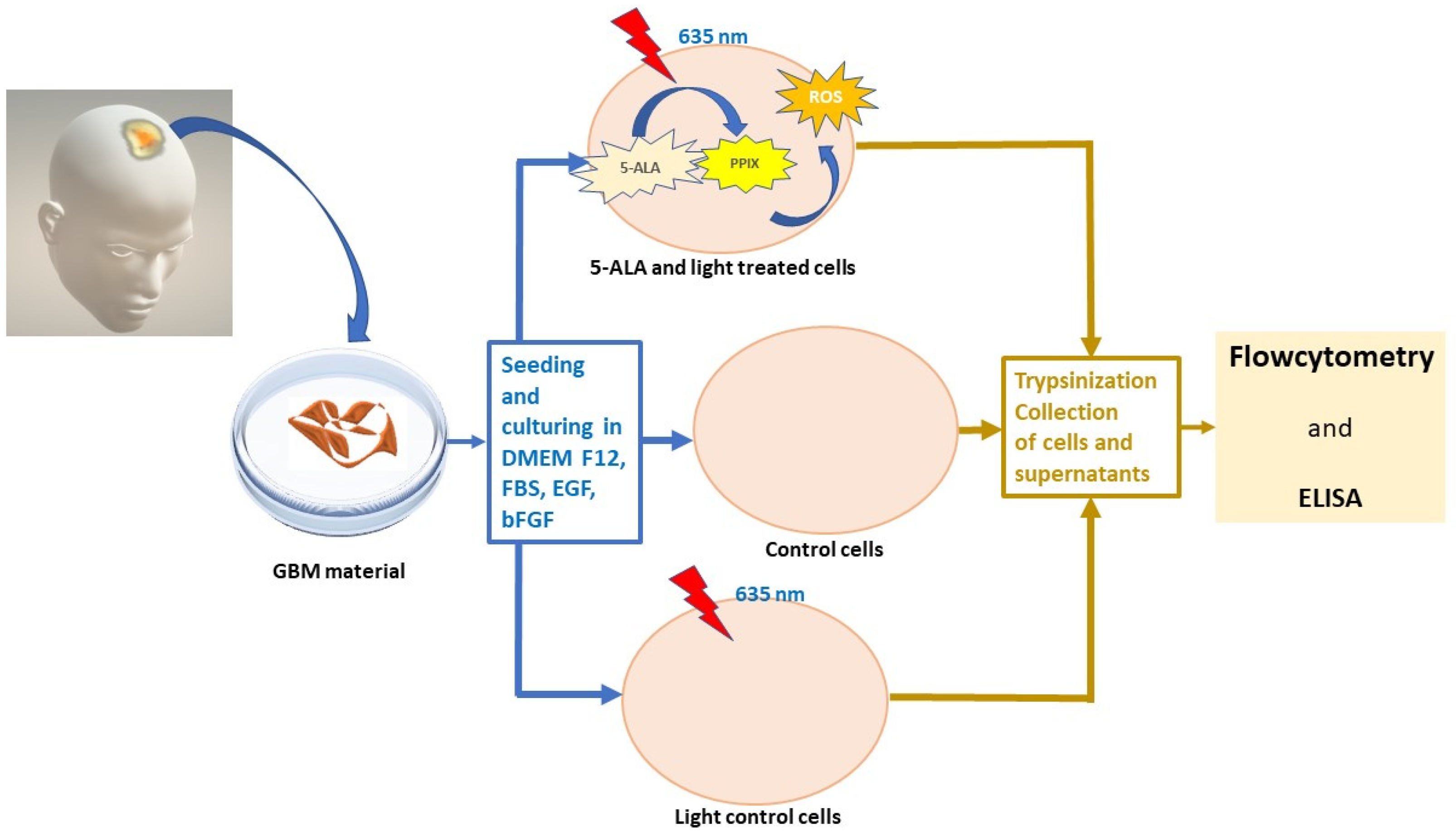 Cimb 45 00169 g001 Cimb 45 00169 g001