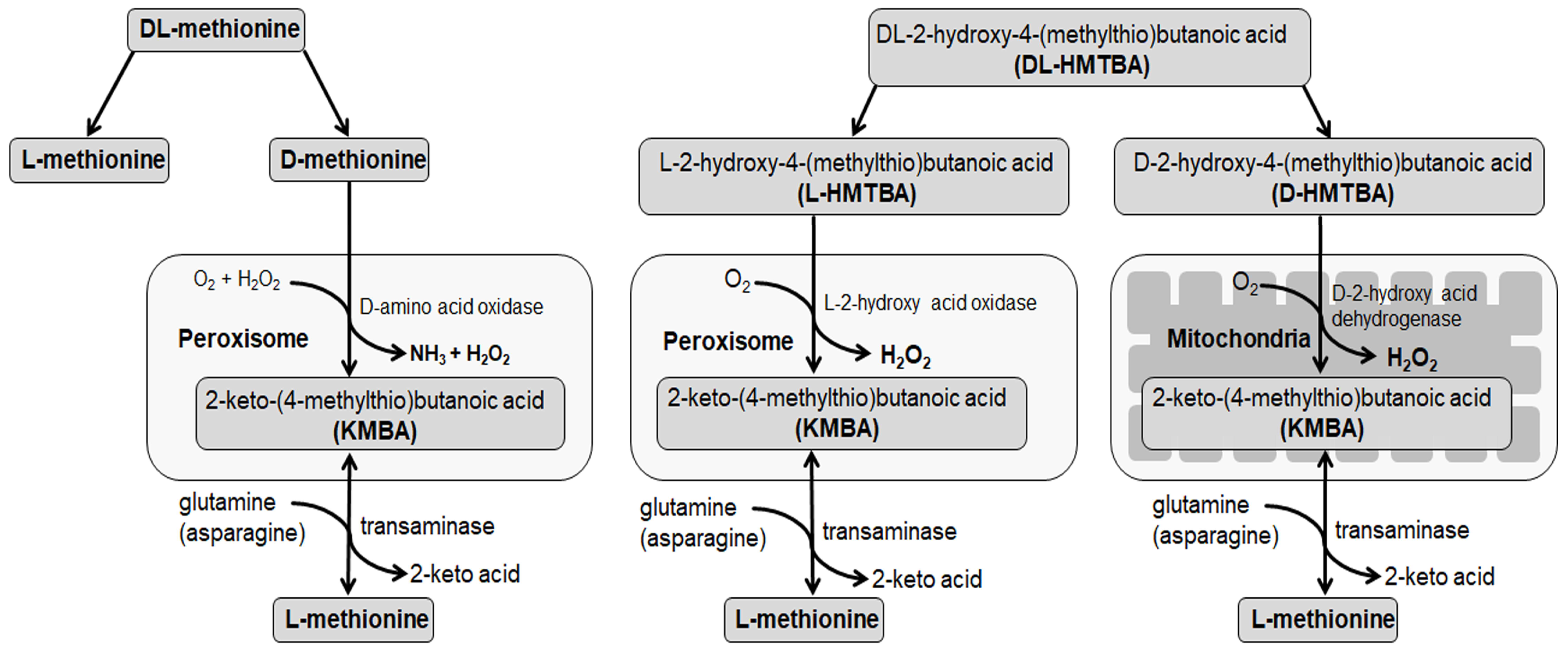 Cimb 45 00174 g001 Cimb 45 00174 g001