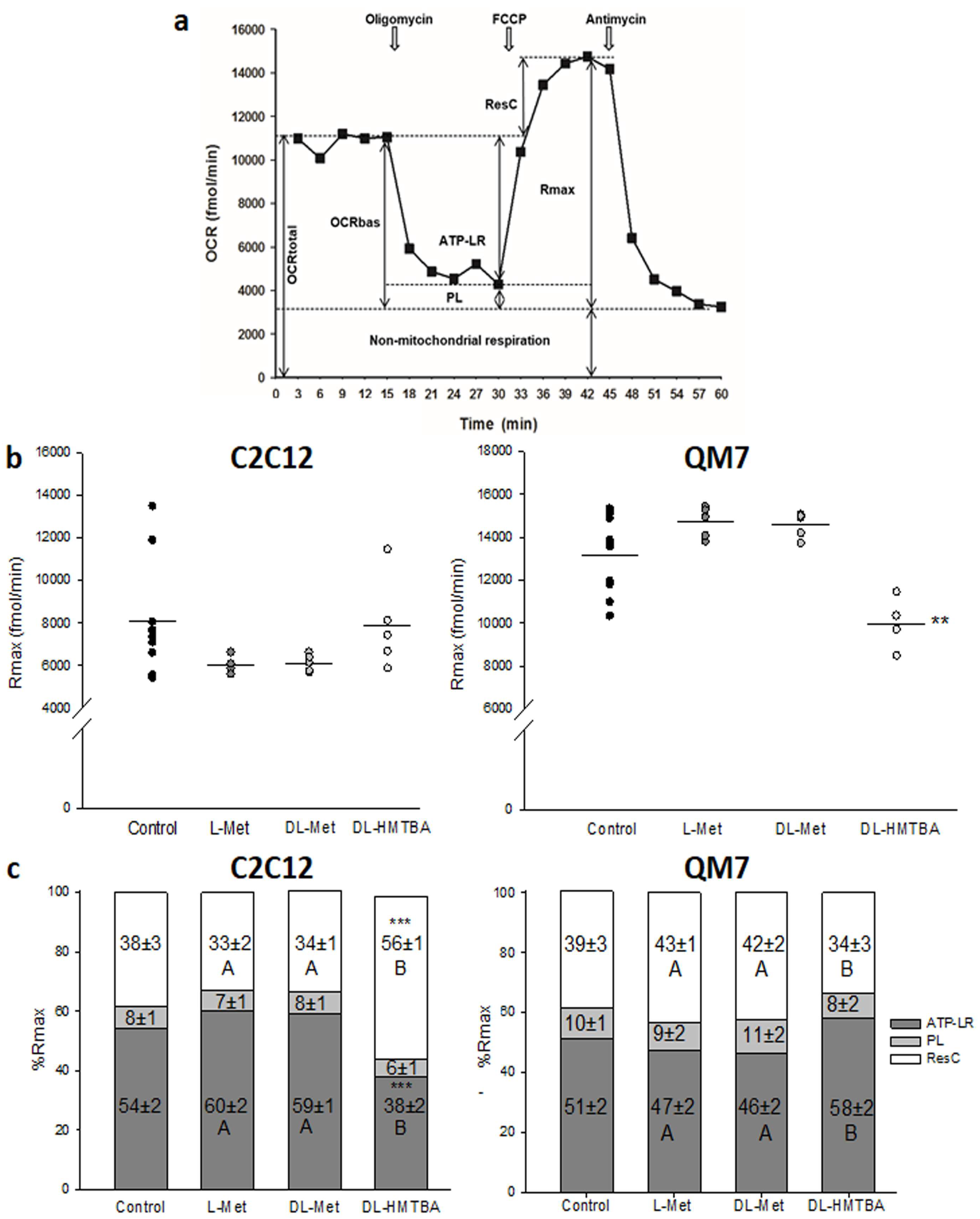 Cimb 45 00174 g007 Cimb 45 00174 g007