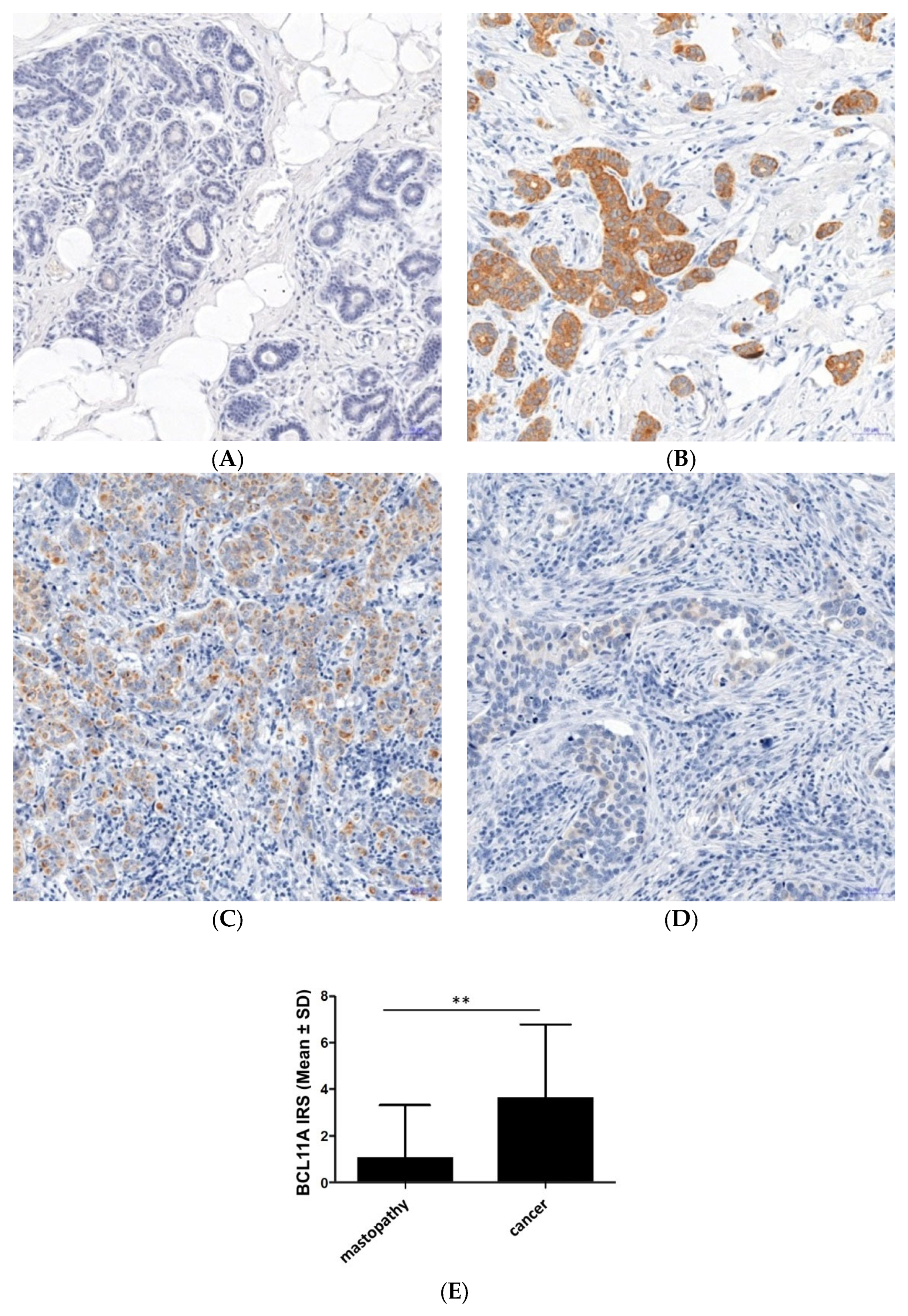 Cimb 45 00175 g001 Cimb 45 00175 g001