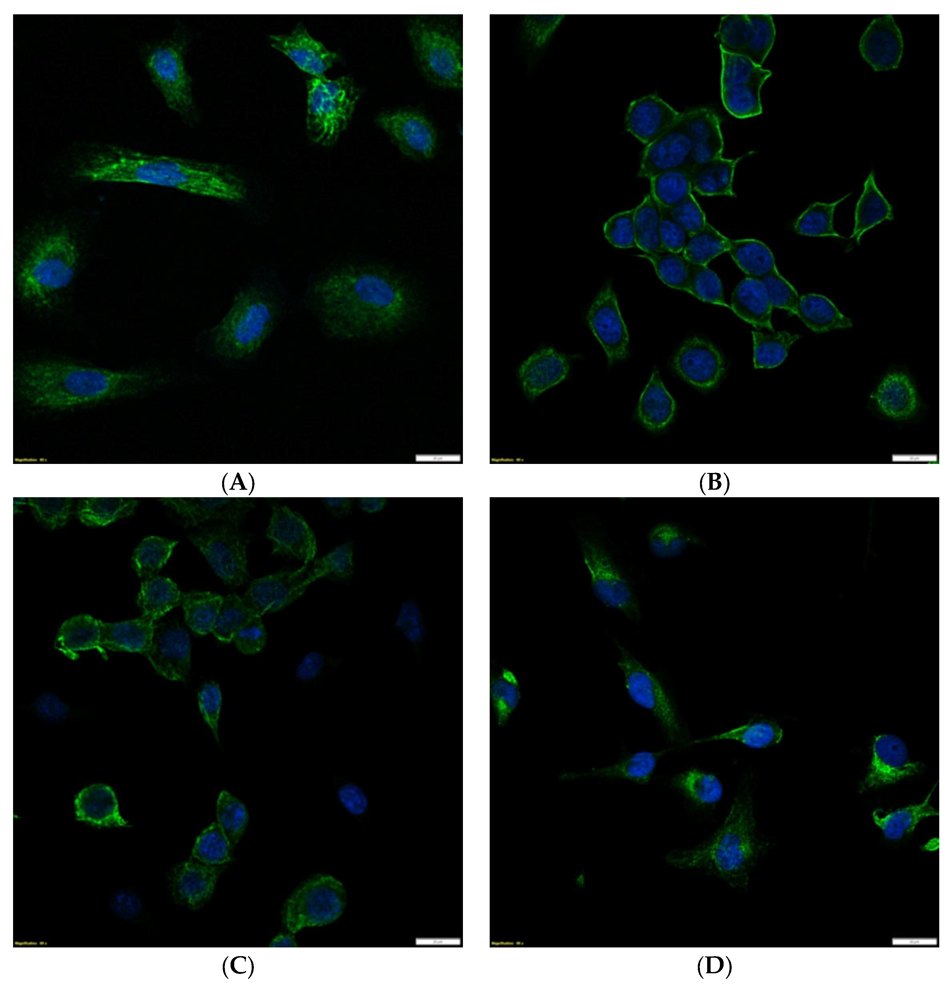 Cimb 45 00175 g002a Cimb 45 00175 g002a