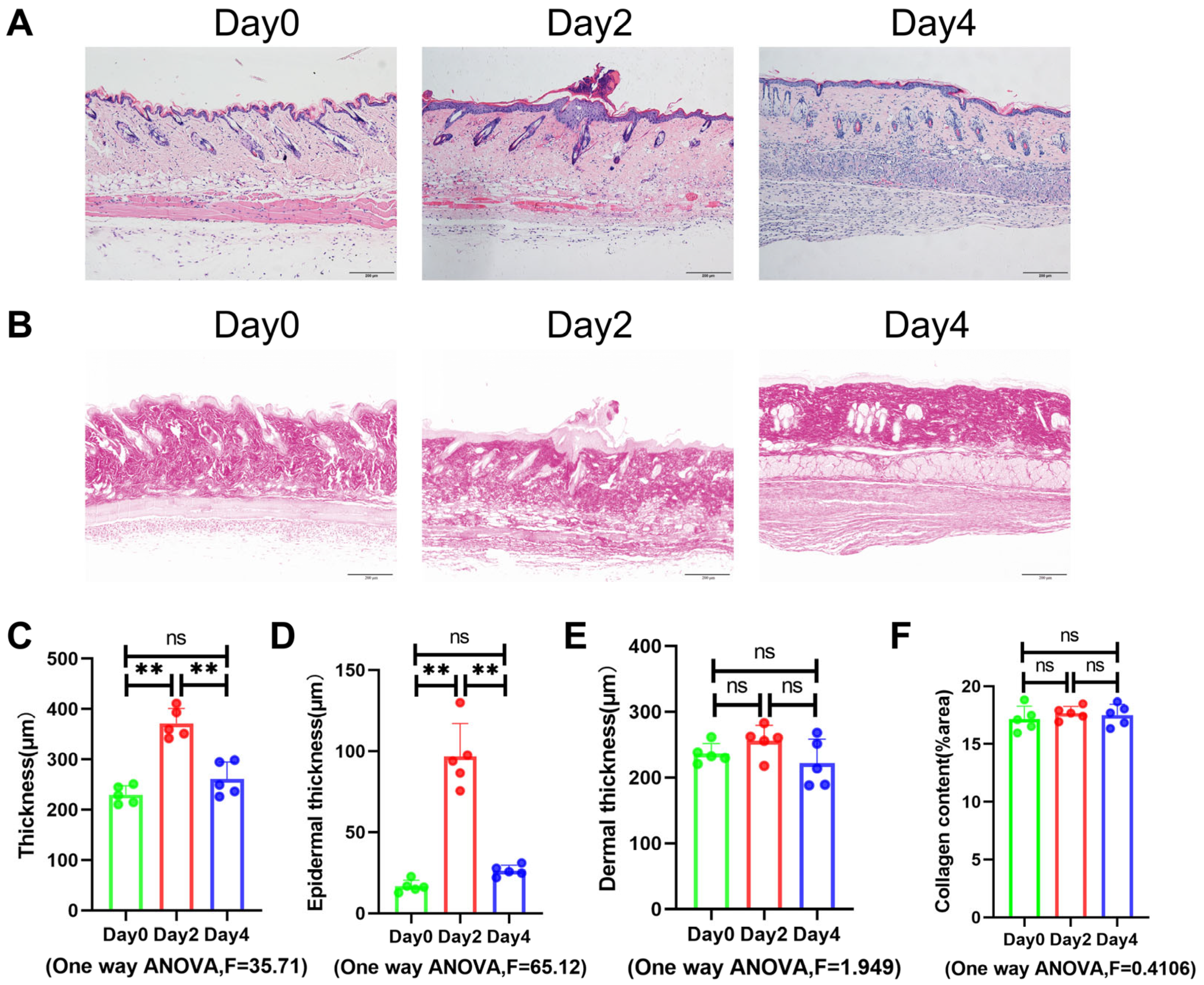 Cimb 45 00177 g005 Cimb 45 00177 g005