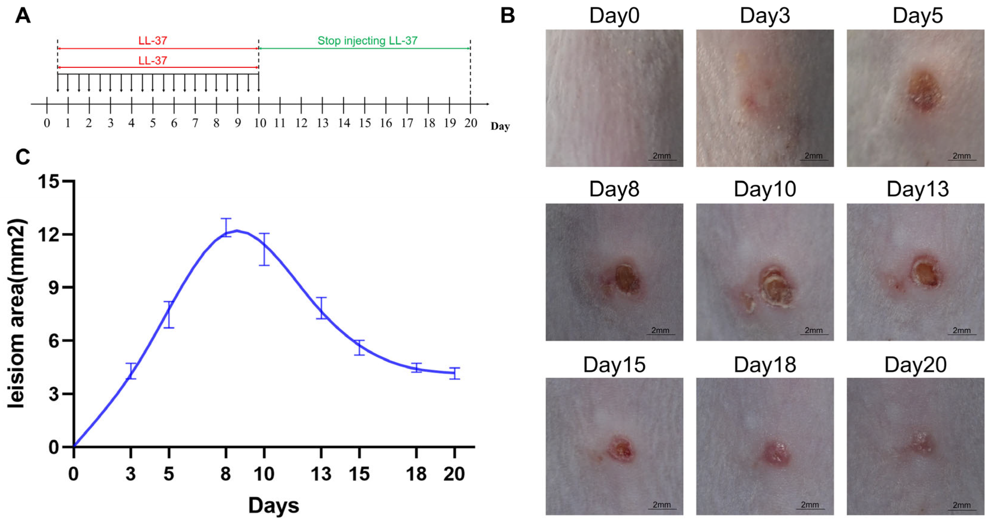 Cimb 45 00177 g007 Cimb 45 00177 g007