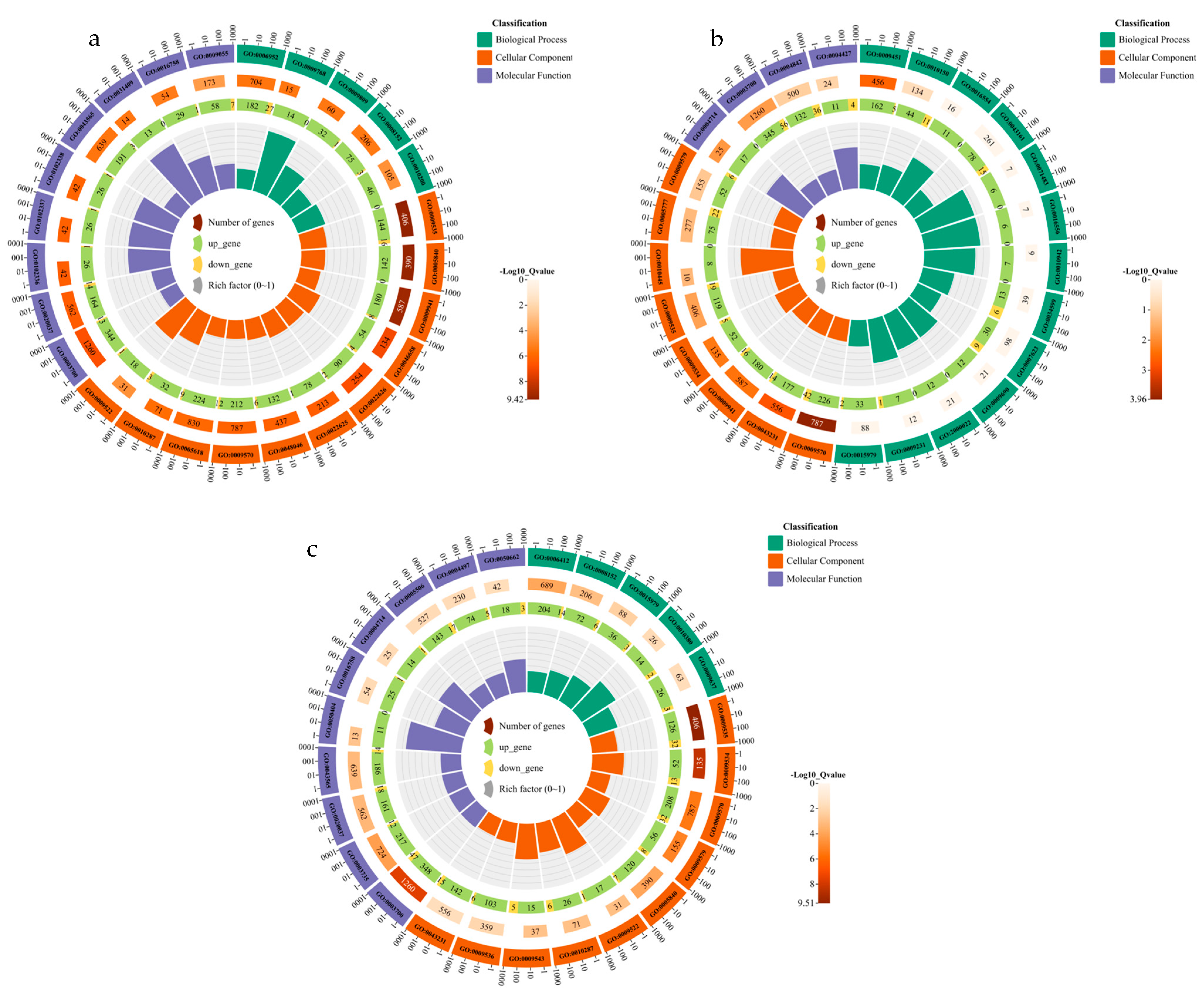 Cimb 45 00179 g003 Cimb 45 00179 g003