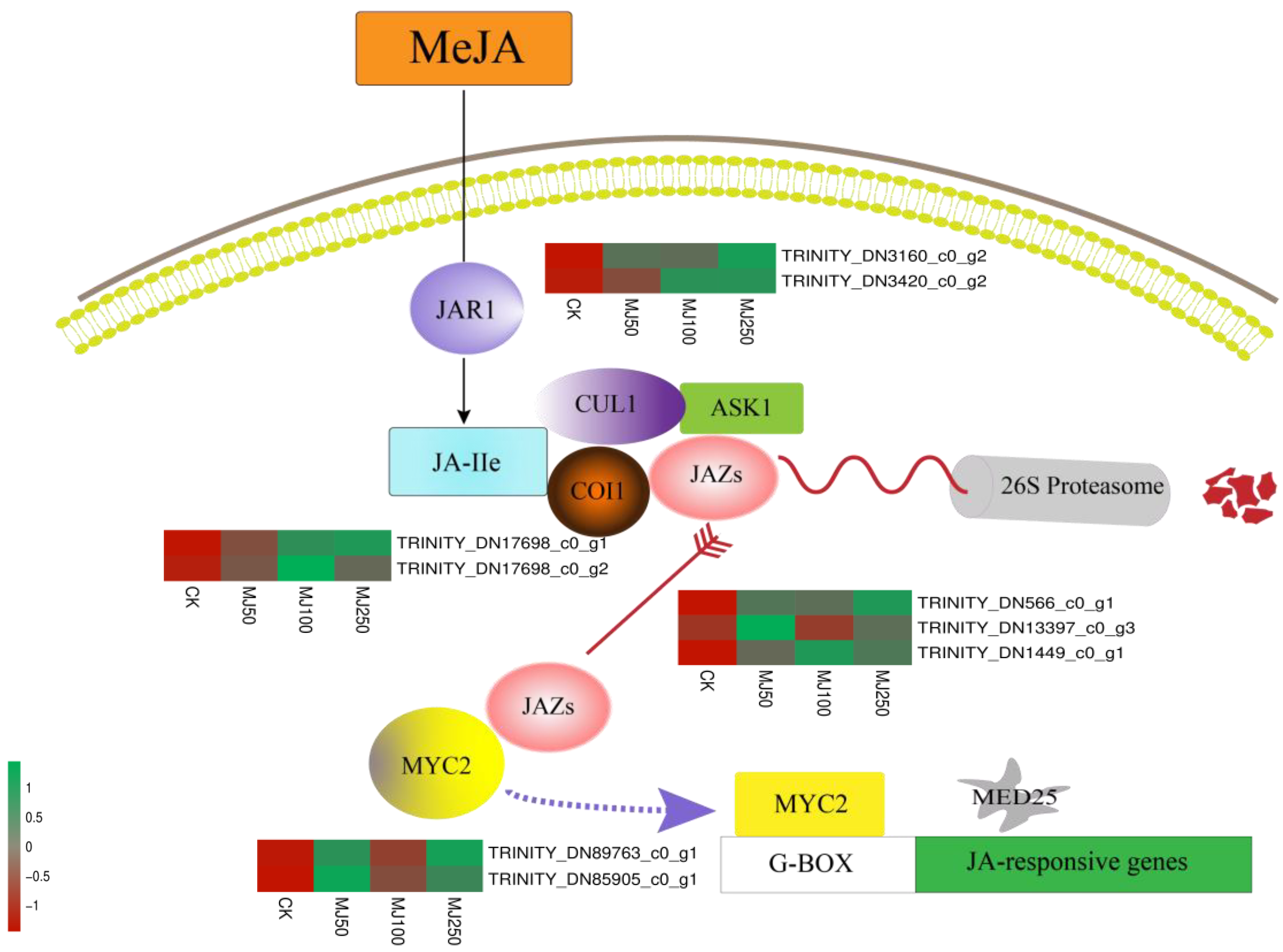 Cimb 45 00179 g005 Cimb 45 00179 g005