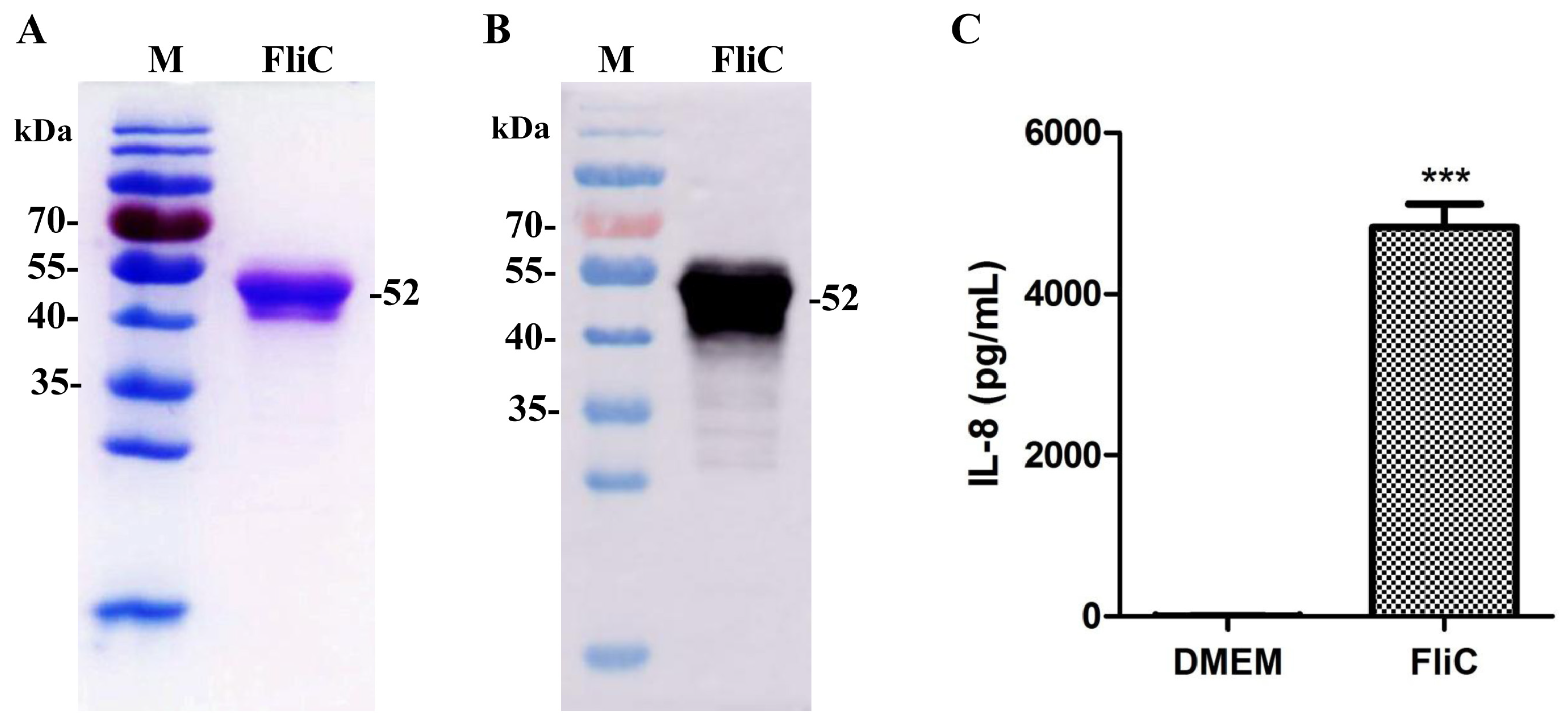 Cimb 45 00183 g001 Cimb 45 00183 g001