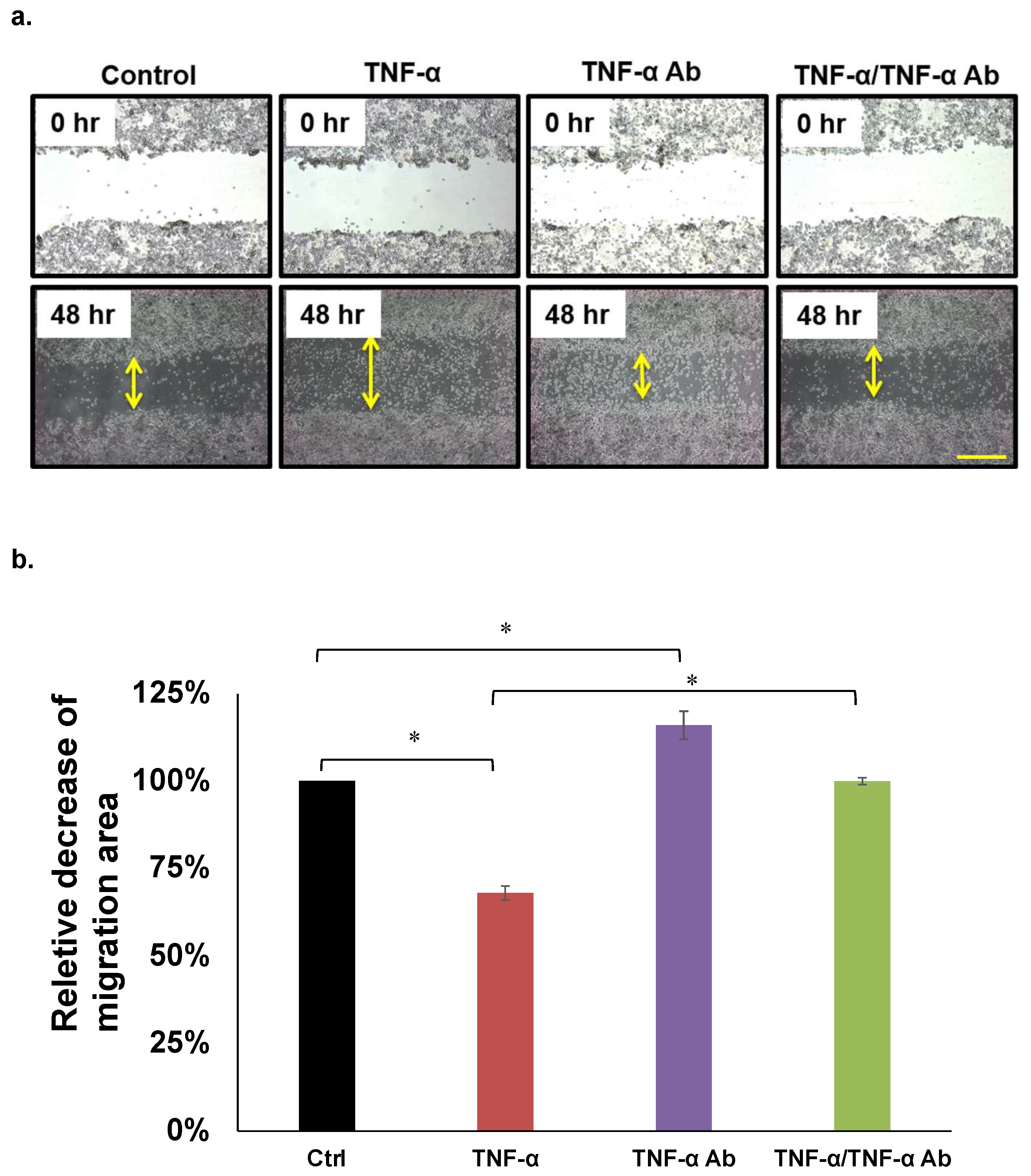 Cimb 45 00189 g003 Cimb 45 00189 g003