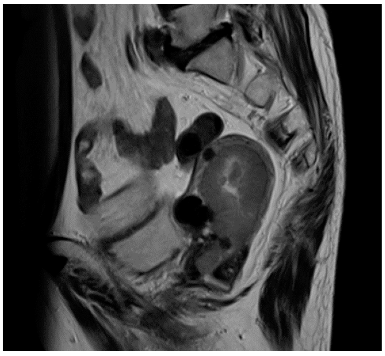 Cimb 45 00190 g001 Cimb 45 00190 g001