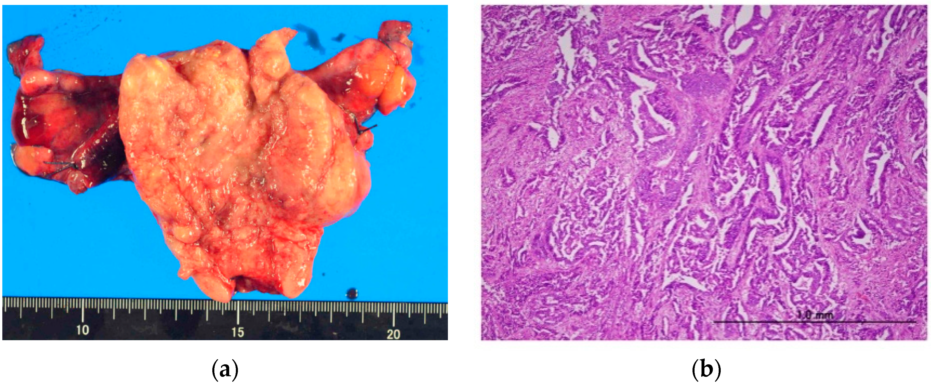 Cimb 45 00190 g002 Cimb 45 00190 g002