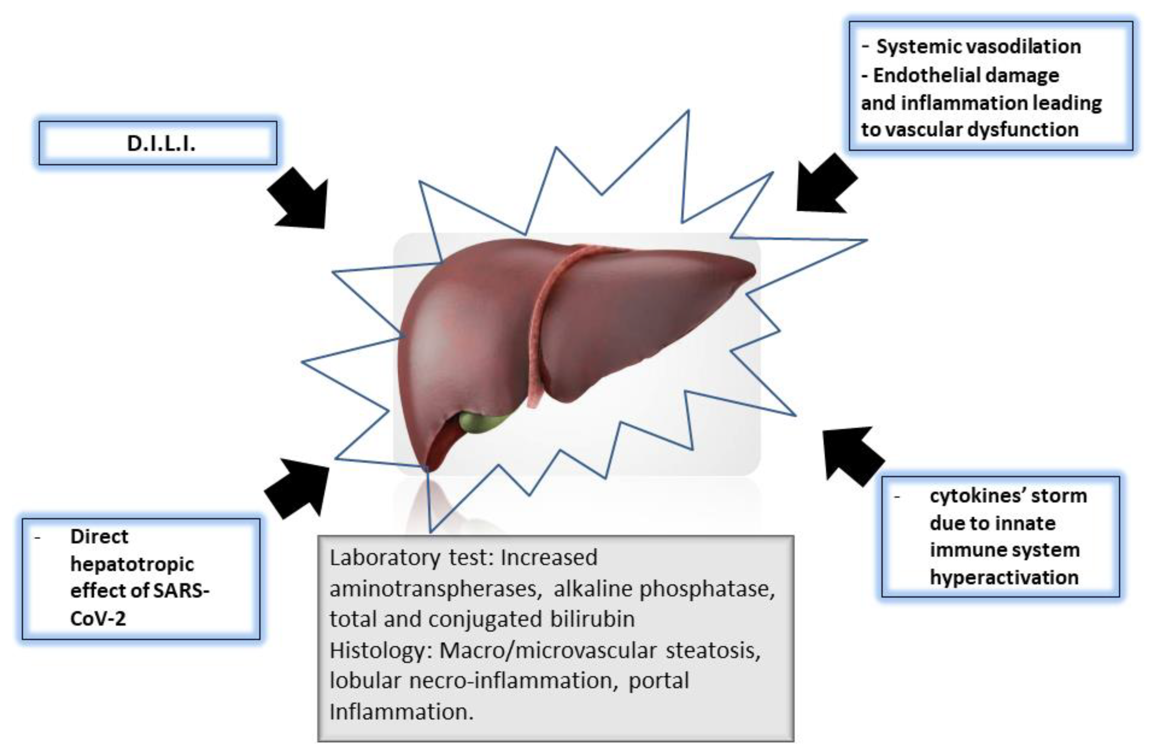 Alipotec Liver Damage 65 - pyc5pa1