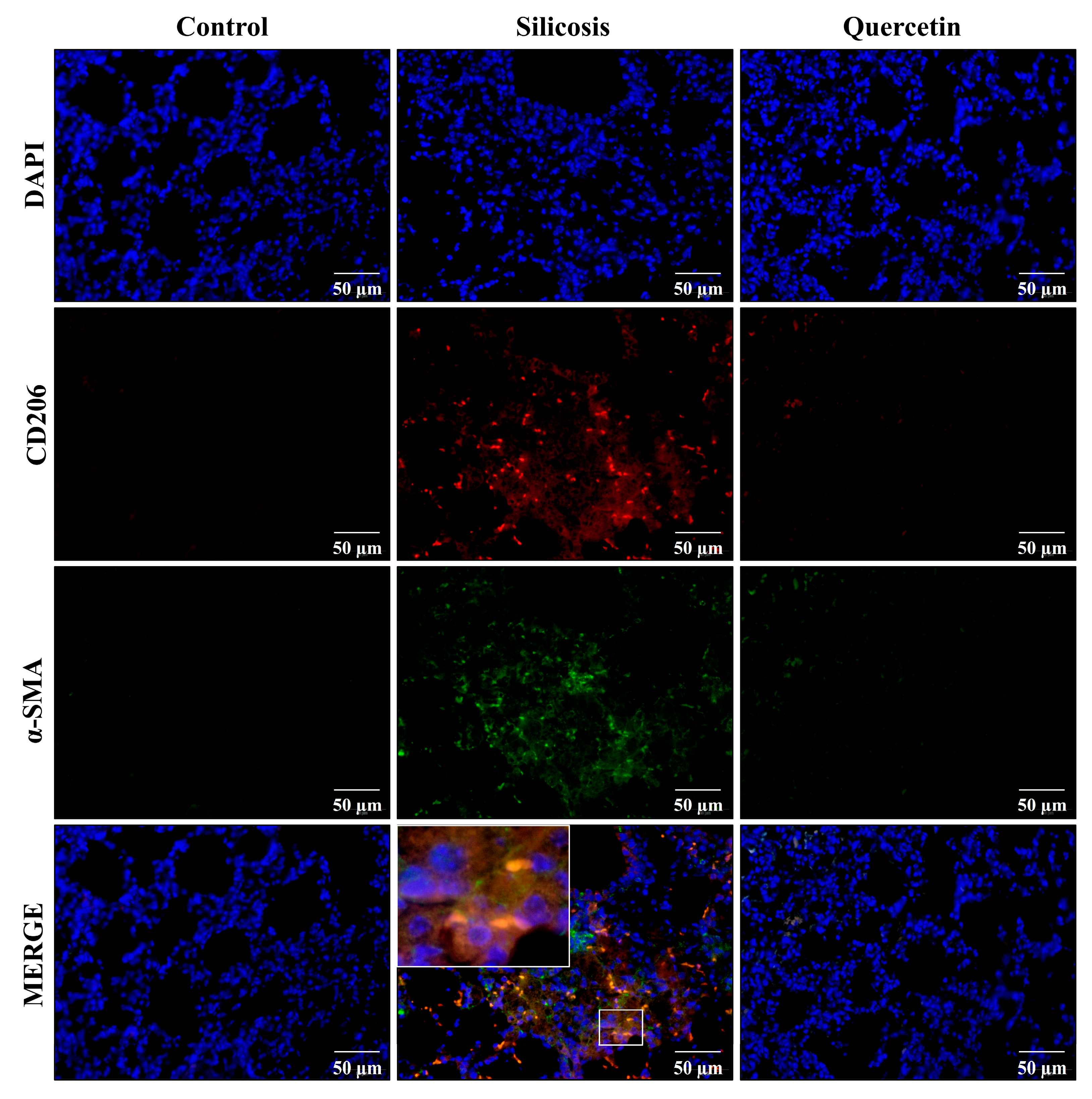 Cimb 45 00202 g007 Cimb 45 00202 g007