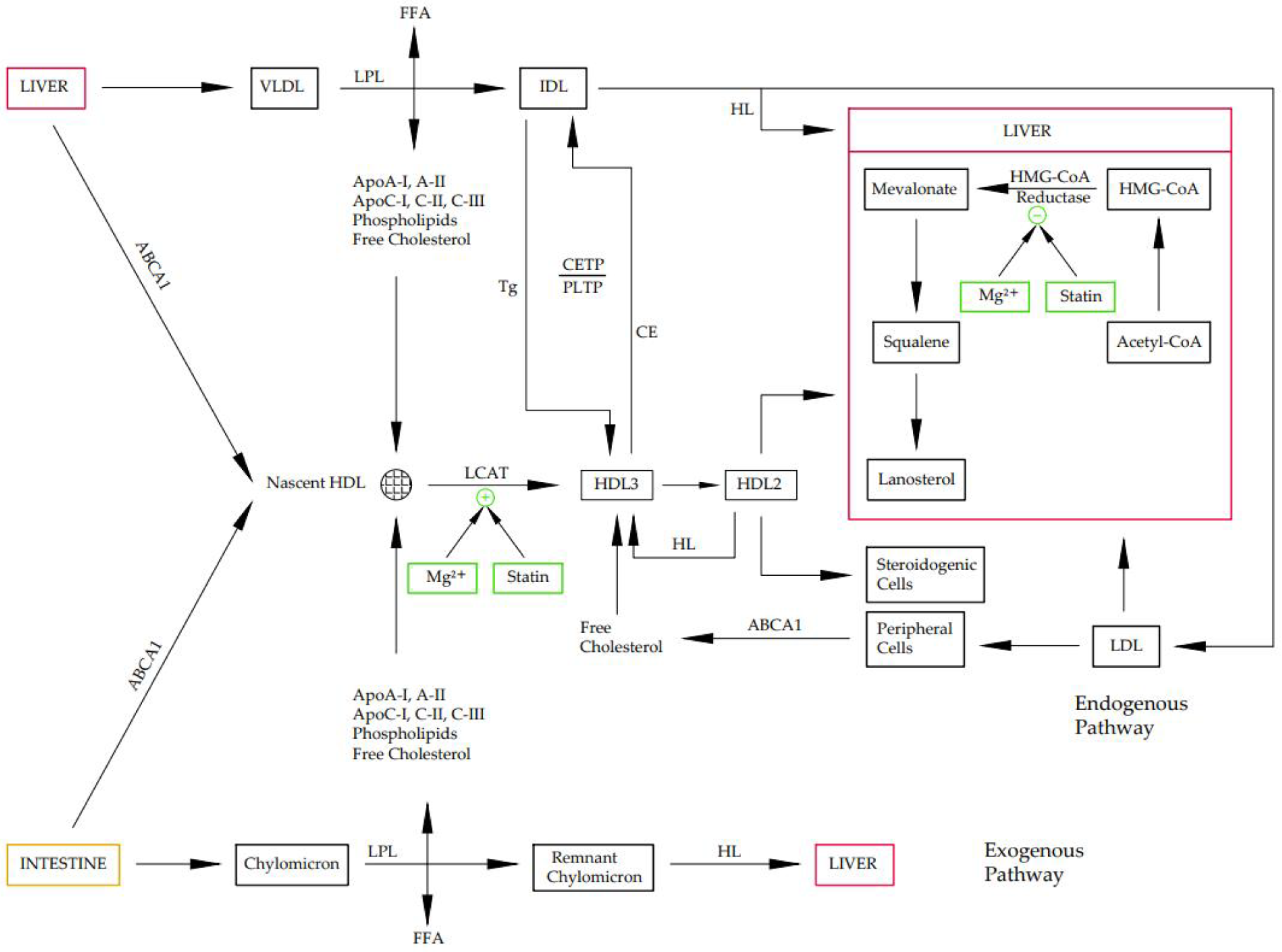 Cimb 45 00205 g002 Cimb 45 00205 g002