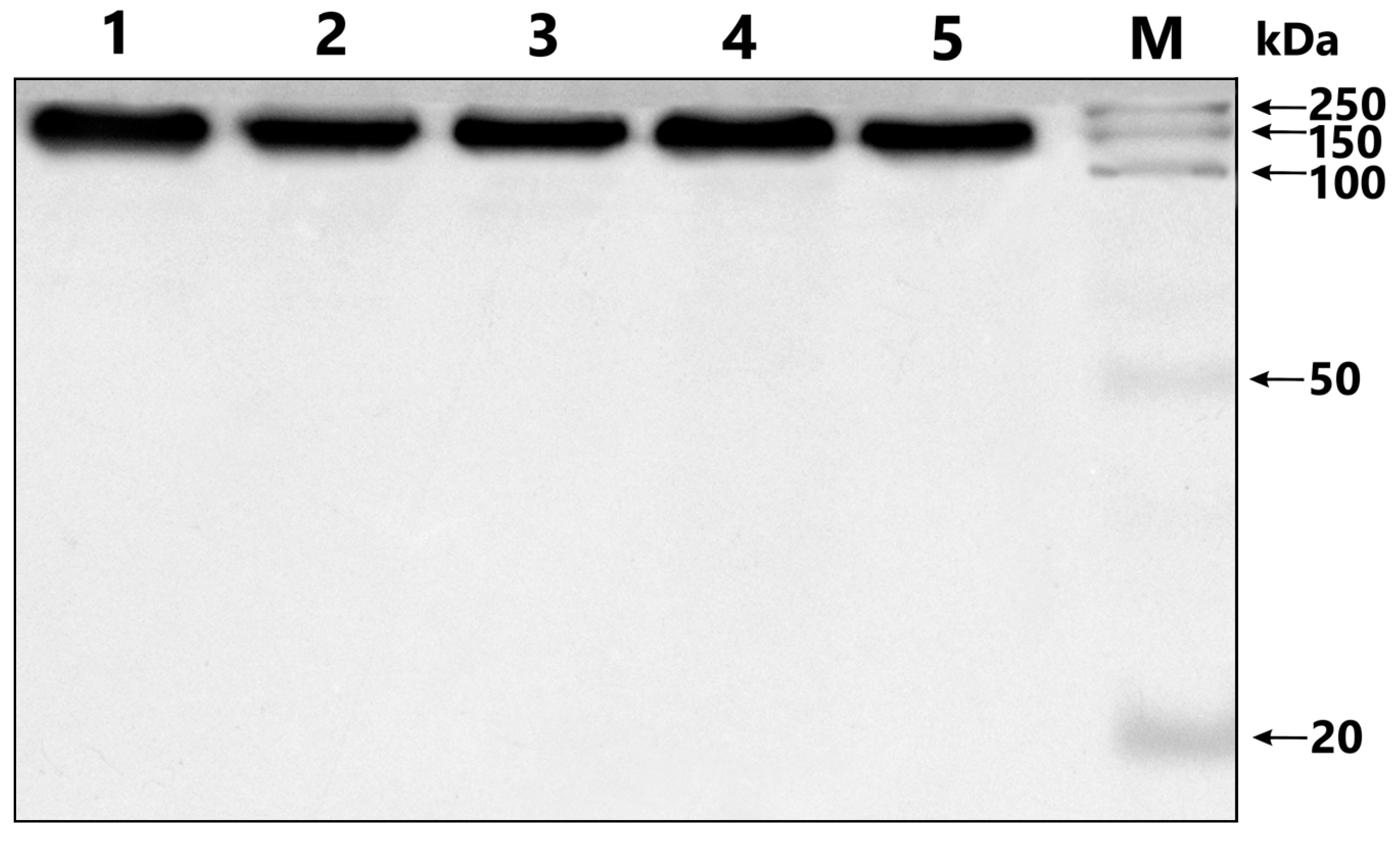 Cimb 45 00206 g001 Cimb 45 00206 g001