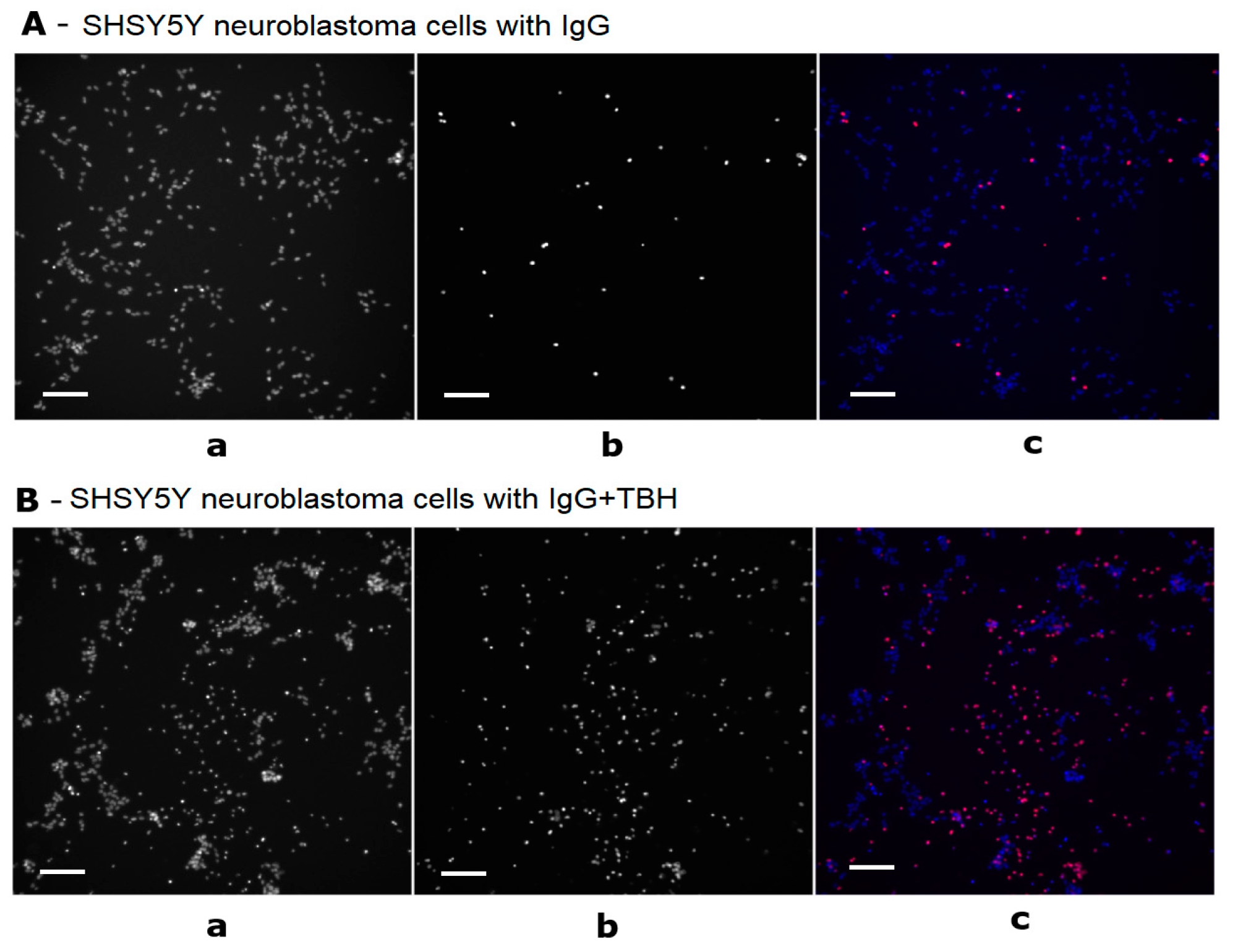 Cimb 45 00206 g003 Cimb 45 00206 g003