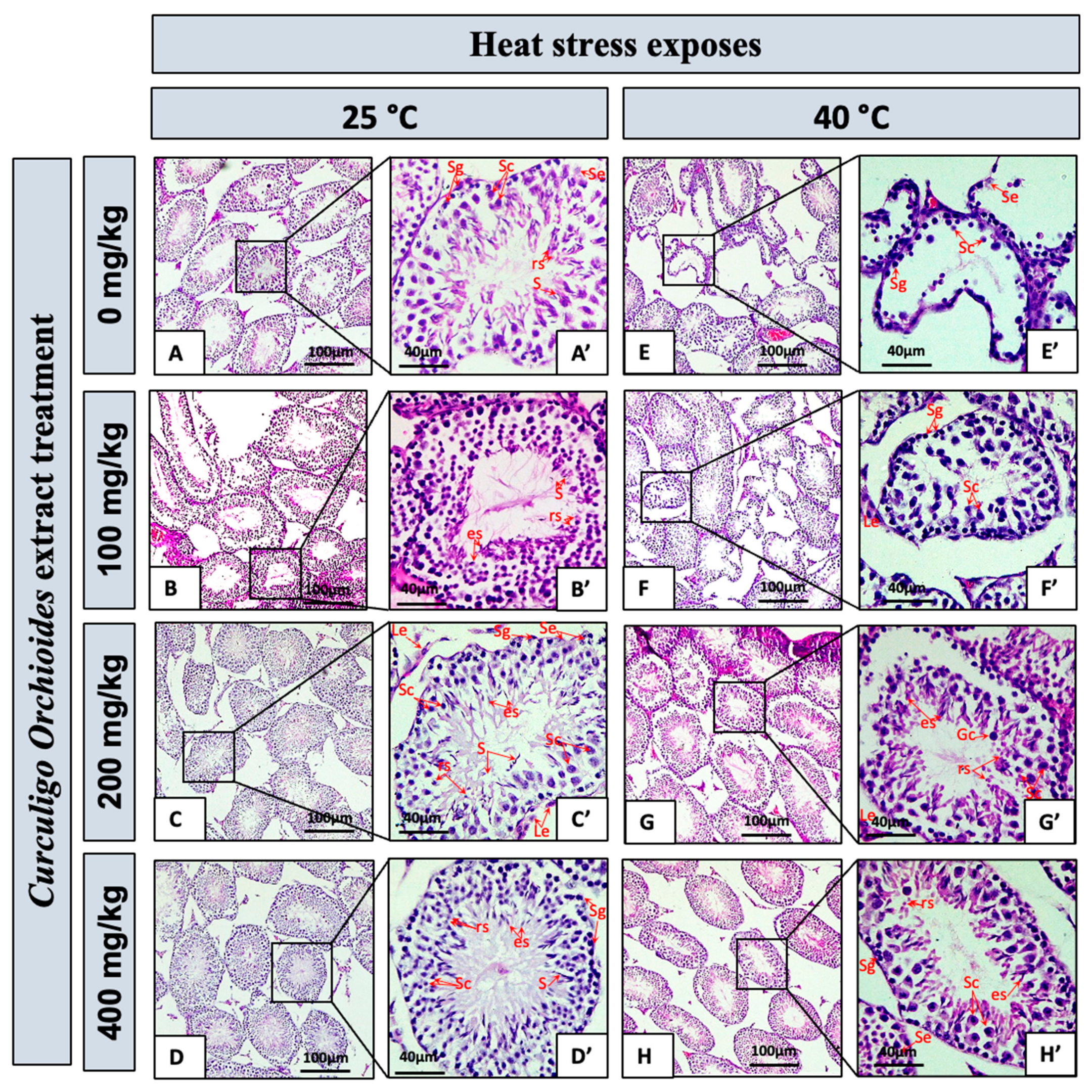 Cimb 45 00212 g003 Cimb 45 00212 g003