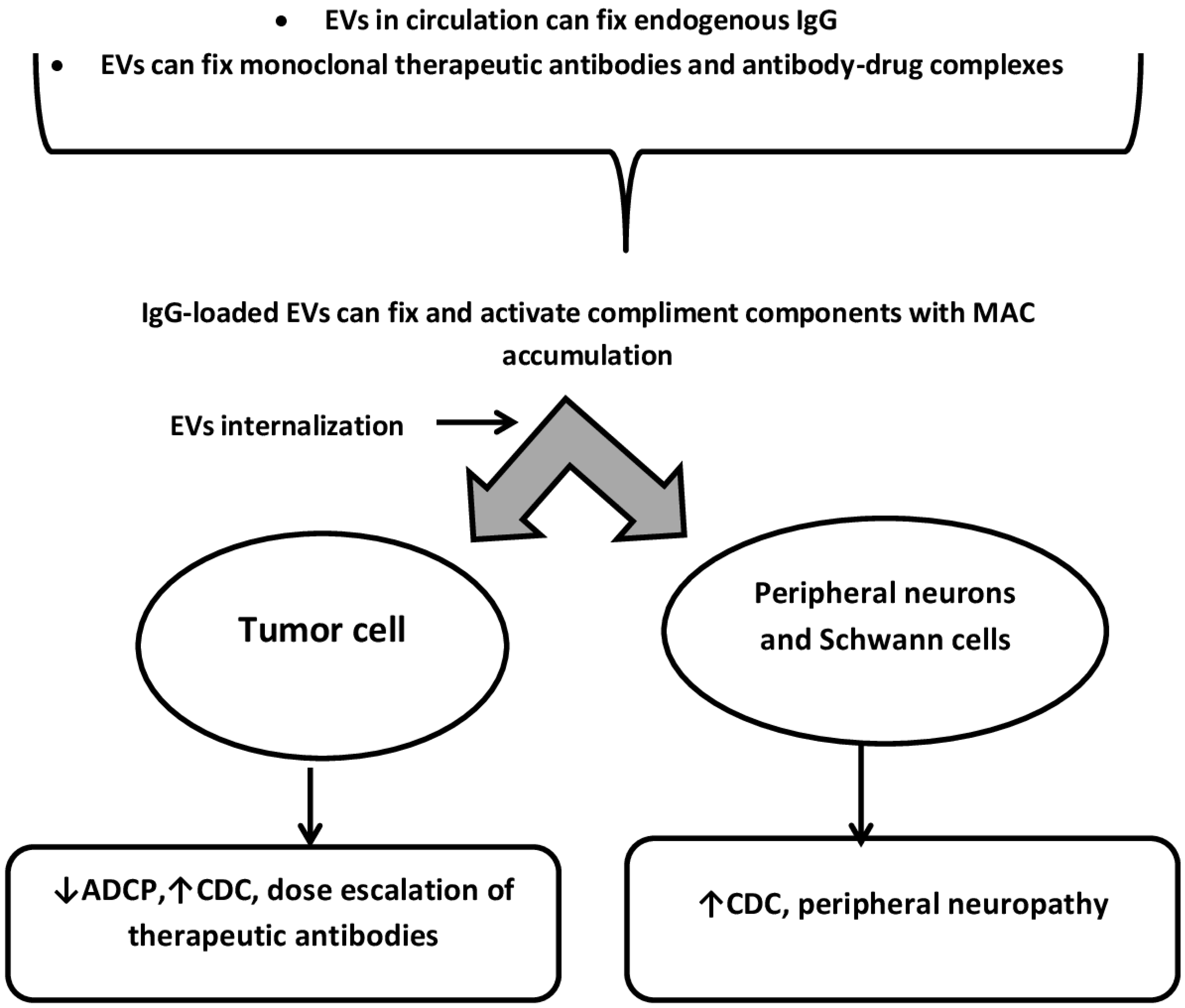 Cimb 45 00216 g001 Cimb 45 00216 g001