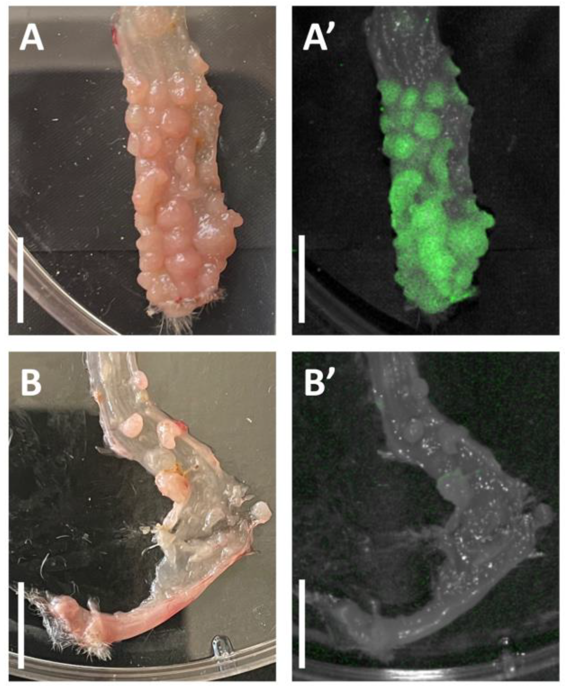 Cimb 45 00219 g001 Cimb 45 00219 g001