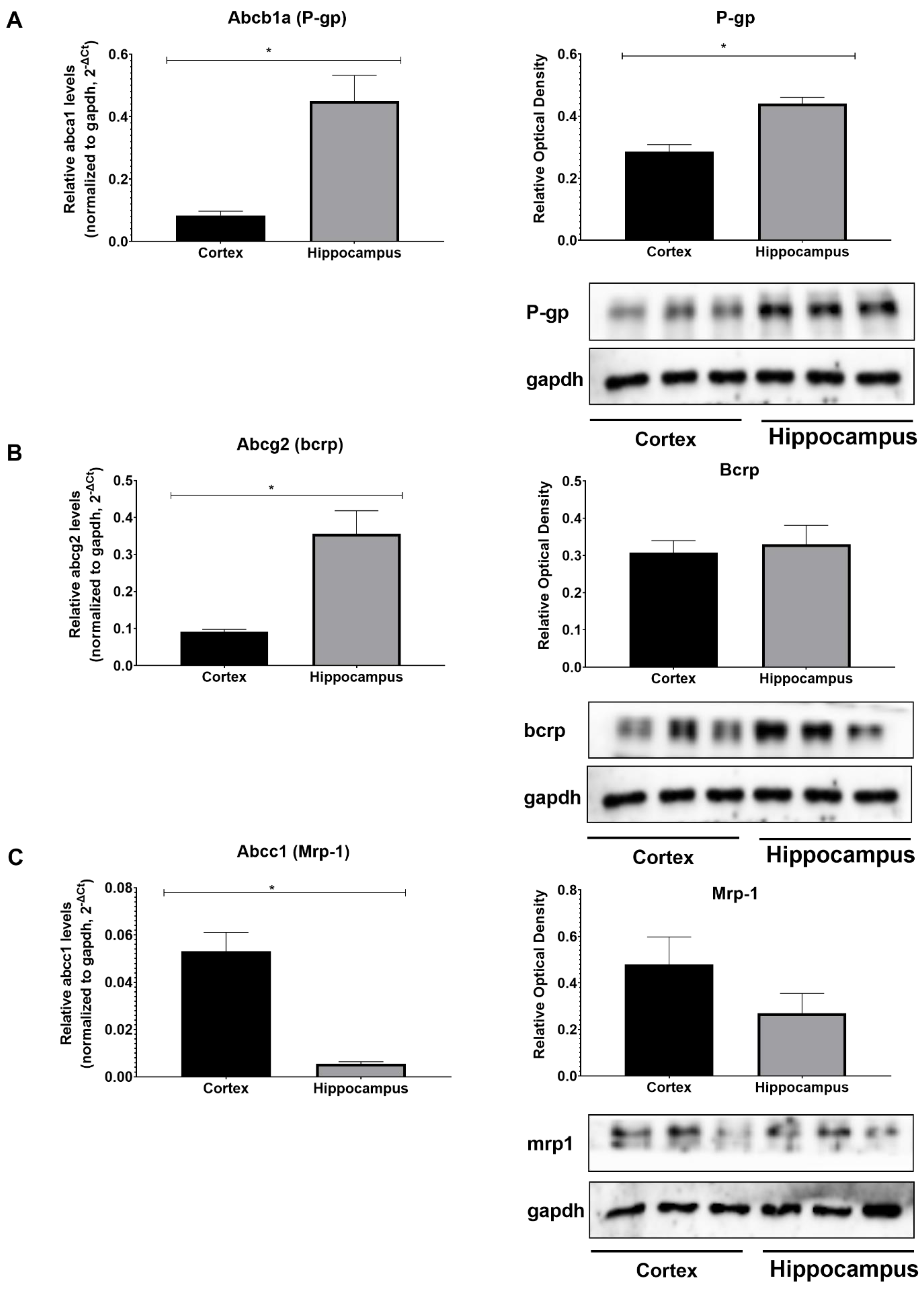 Cimb 45 00227 g004 Cimb 45 00227 g004