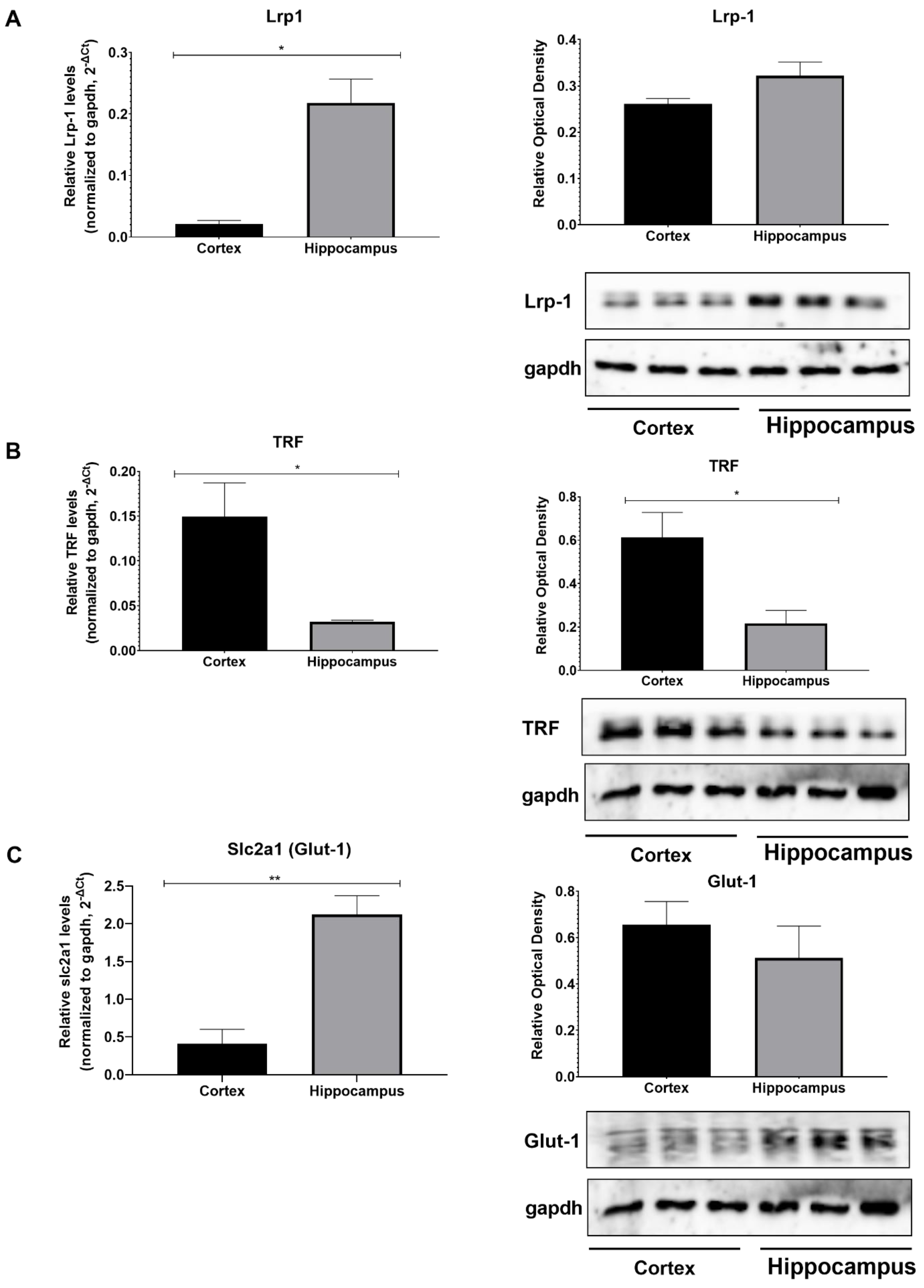 Cimb 45 00227 g005 Cimb 45 00227 g005
