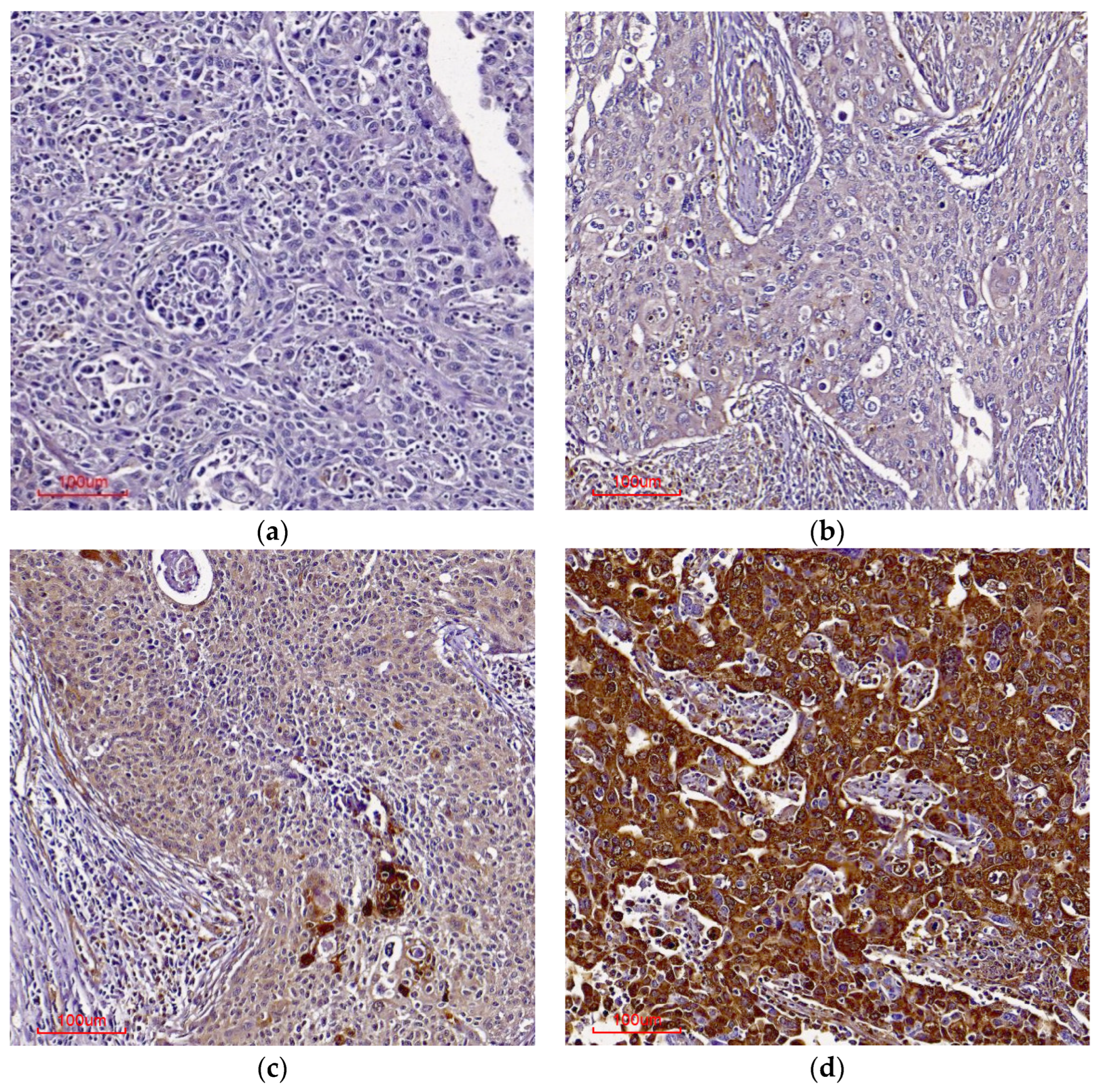 Cimb 45 00235 g005 Cimb 45 00235 g005