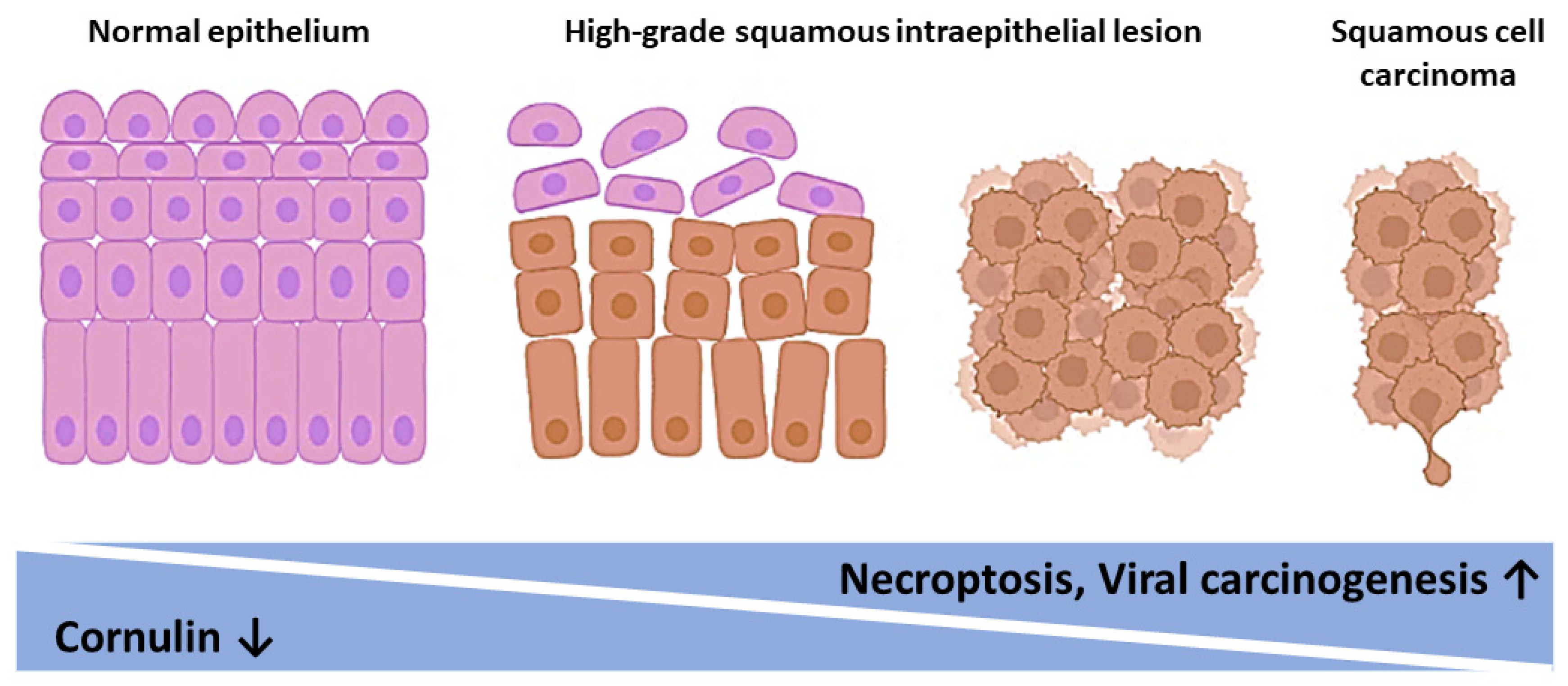Cimb 45 00235 g007 Cimb 45 00235 g007