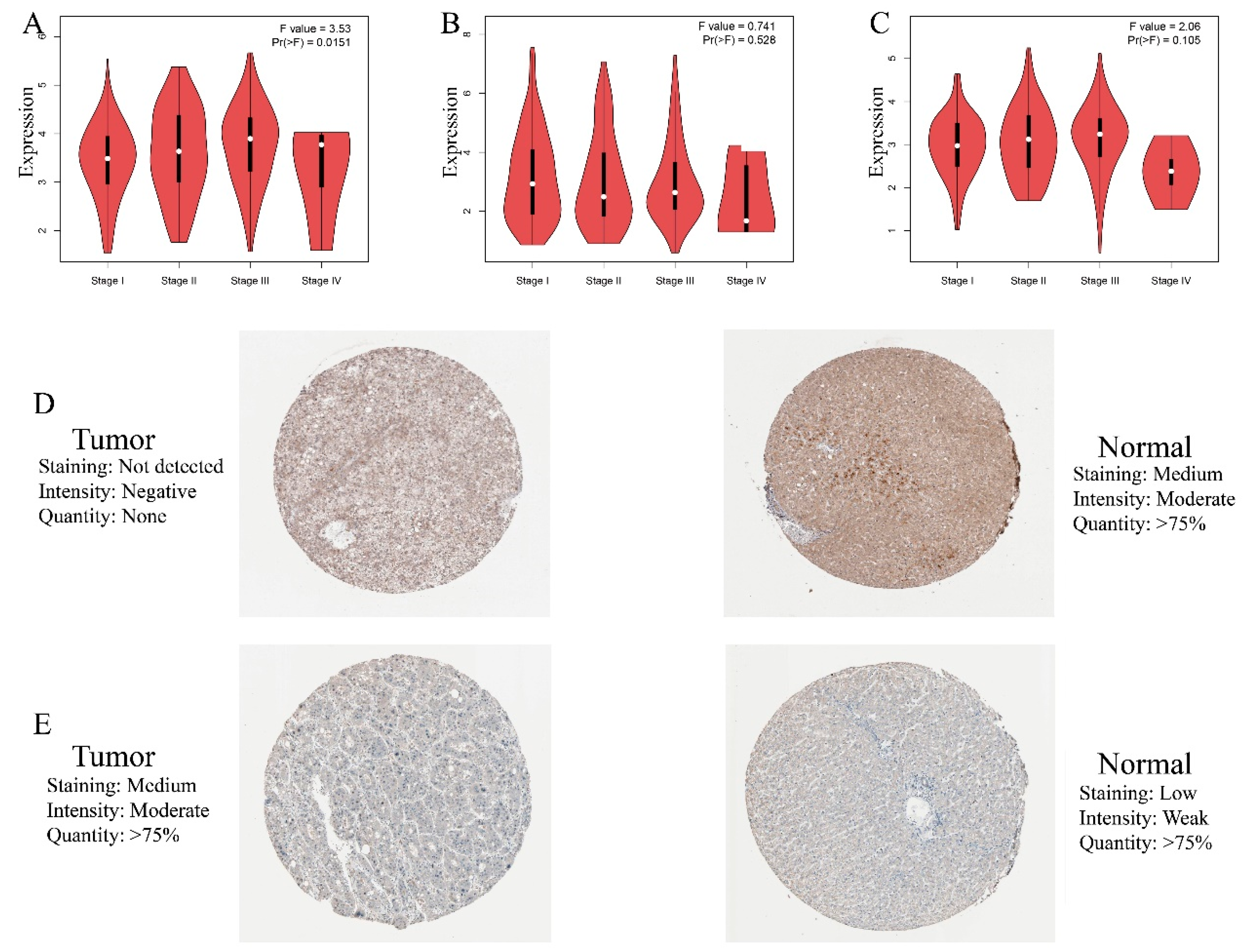 Cimb 45 00237 g005 Cimb 45 00237 g005