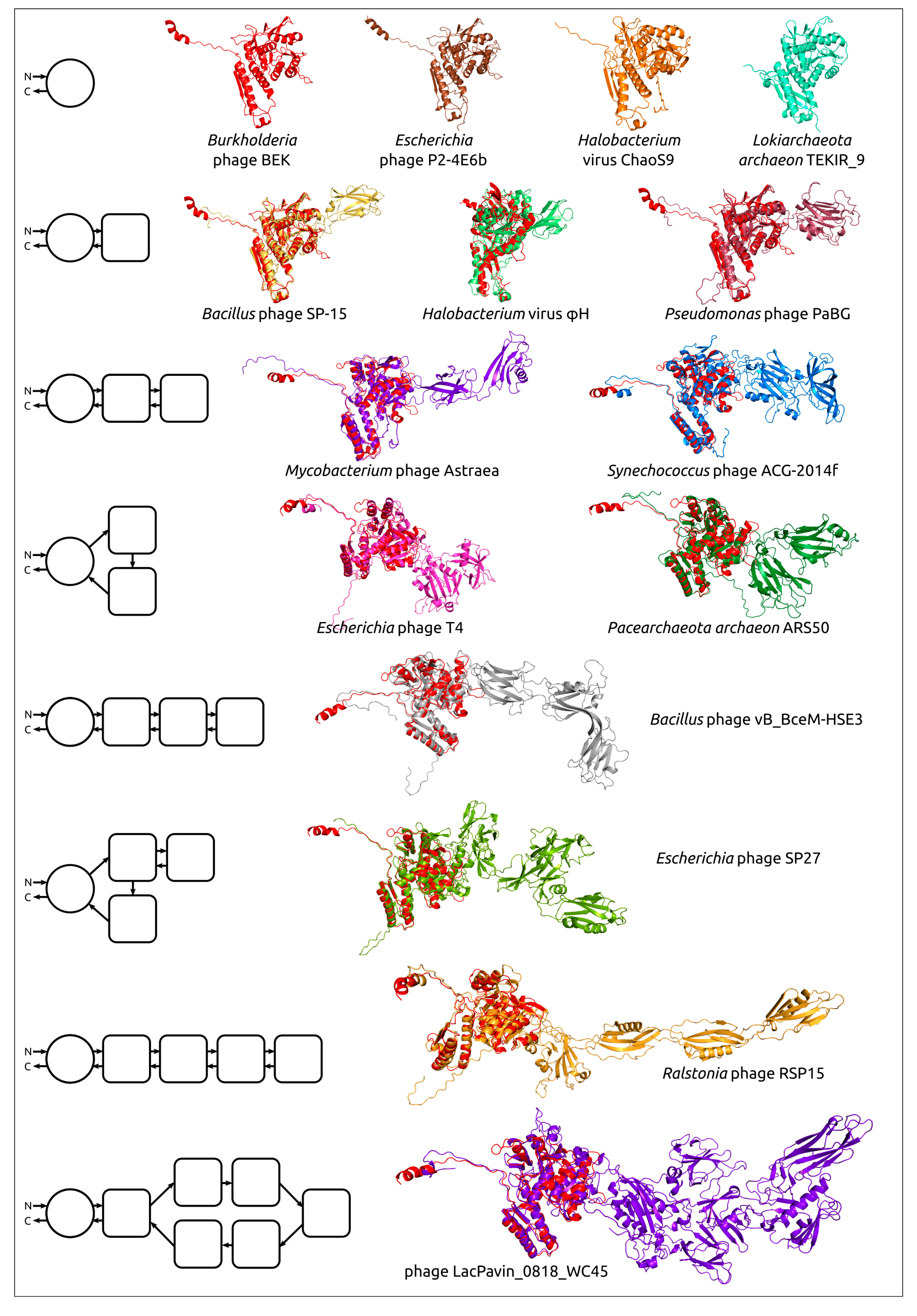 Cimb 45 00240 g006 Cimb 45 00240 g006