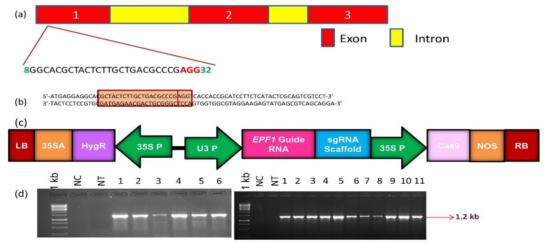 Cimb 45 00245 g001 Cimb 45 00245 g001
