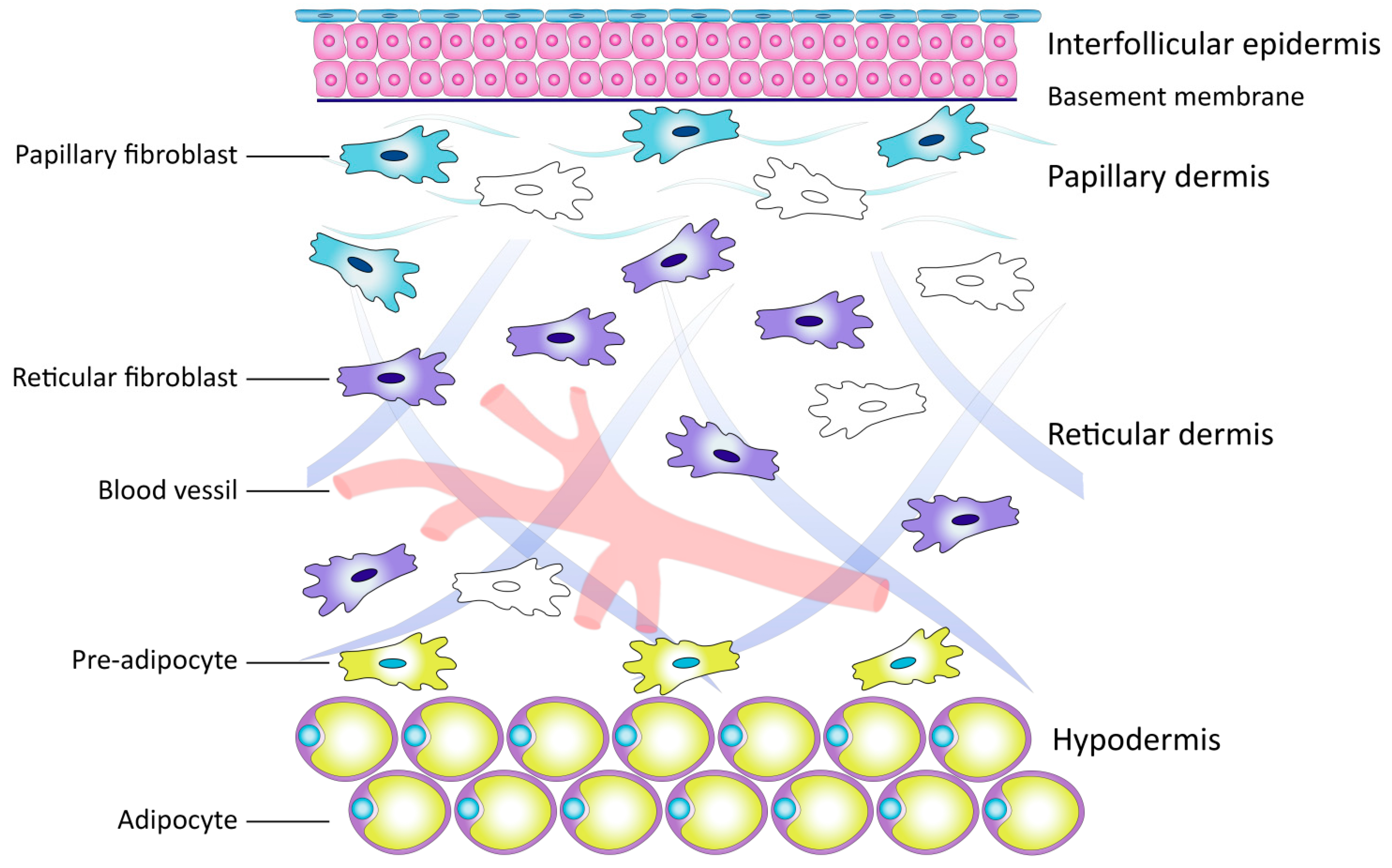 Cimb 45 00247 g002 Cimb 45 00247 g002