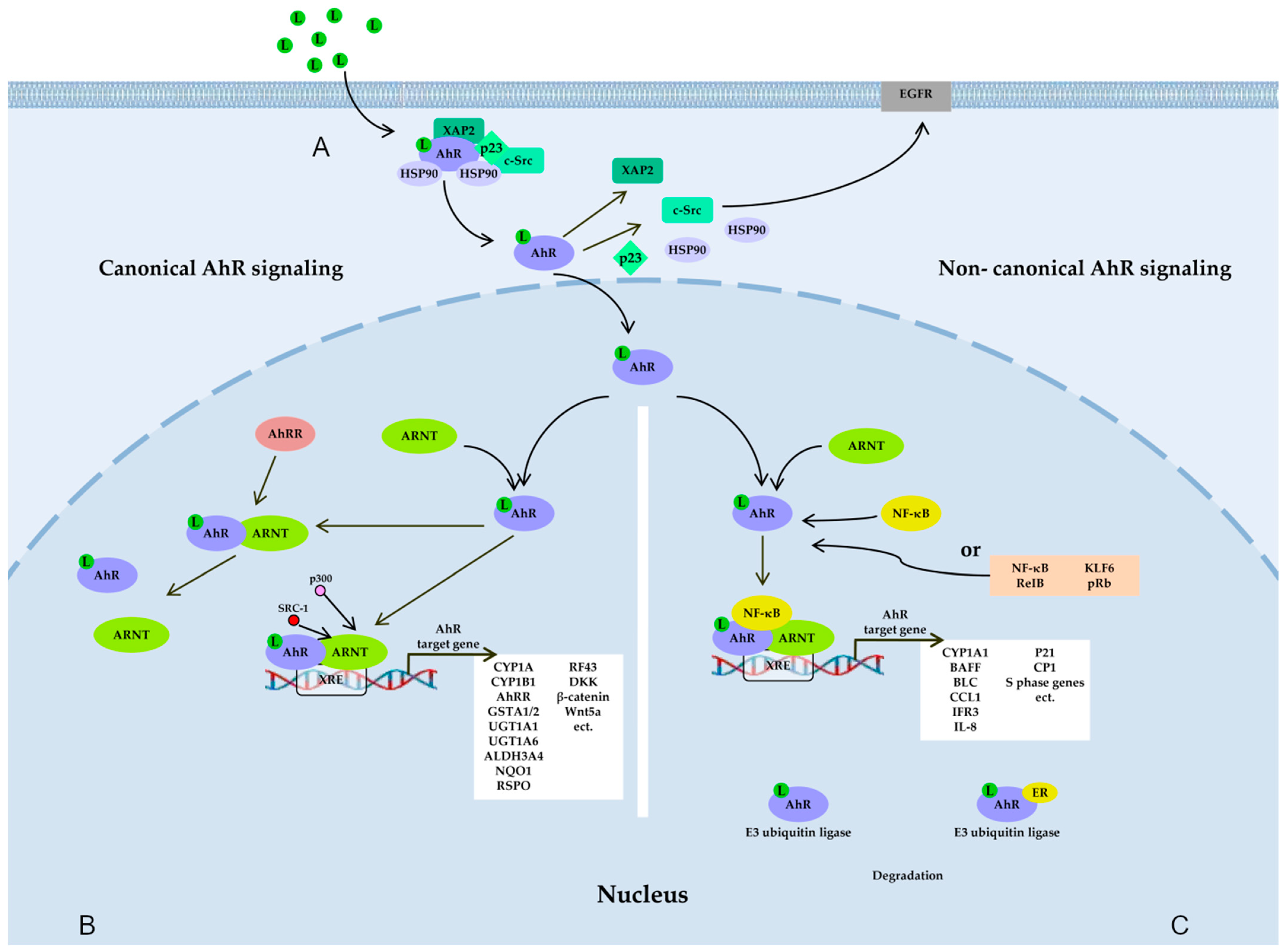 Cimb 45 00248 g001 Cimb 45 00248 g001
