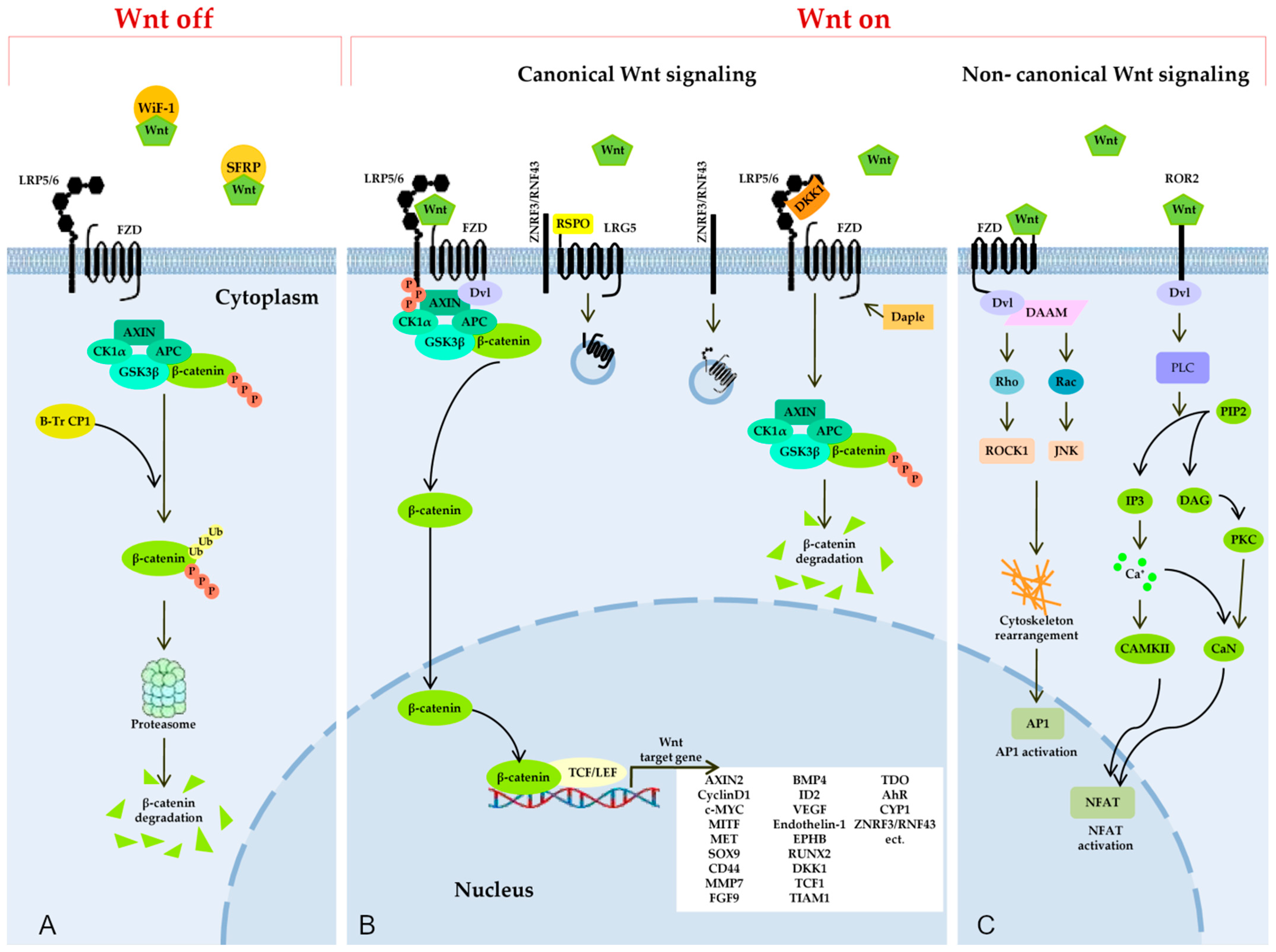 Cimb 45 00248 g002 Cimb 45 00248 g002