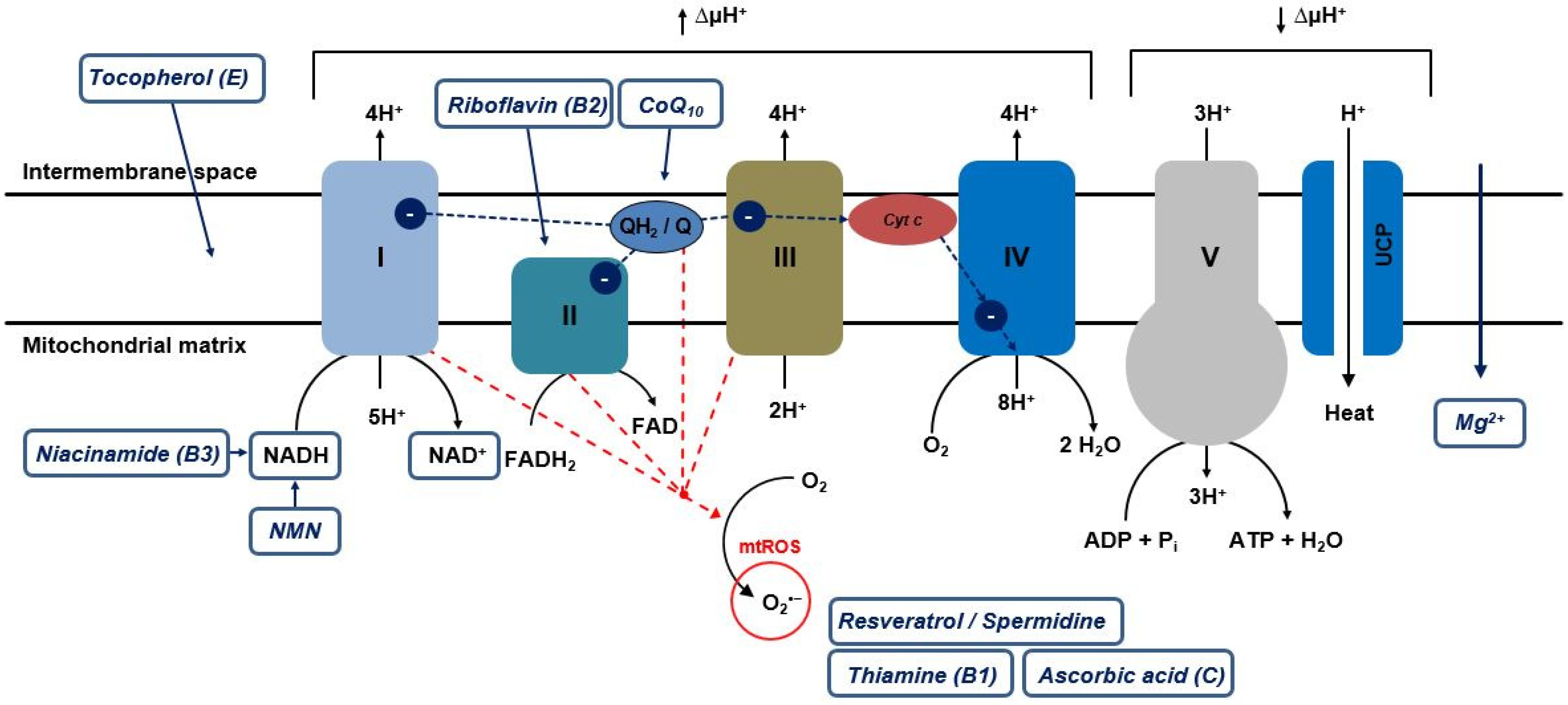 Cimb 45 00250 g002 Cimb 45 00250 g002