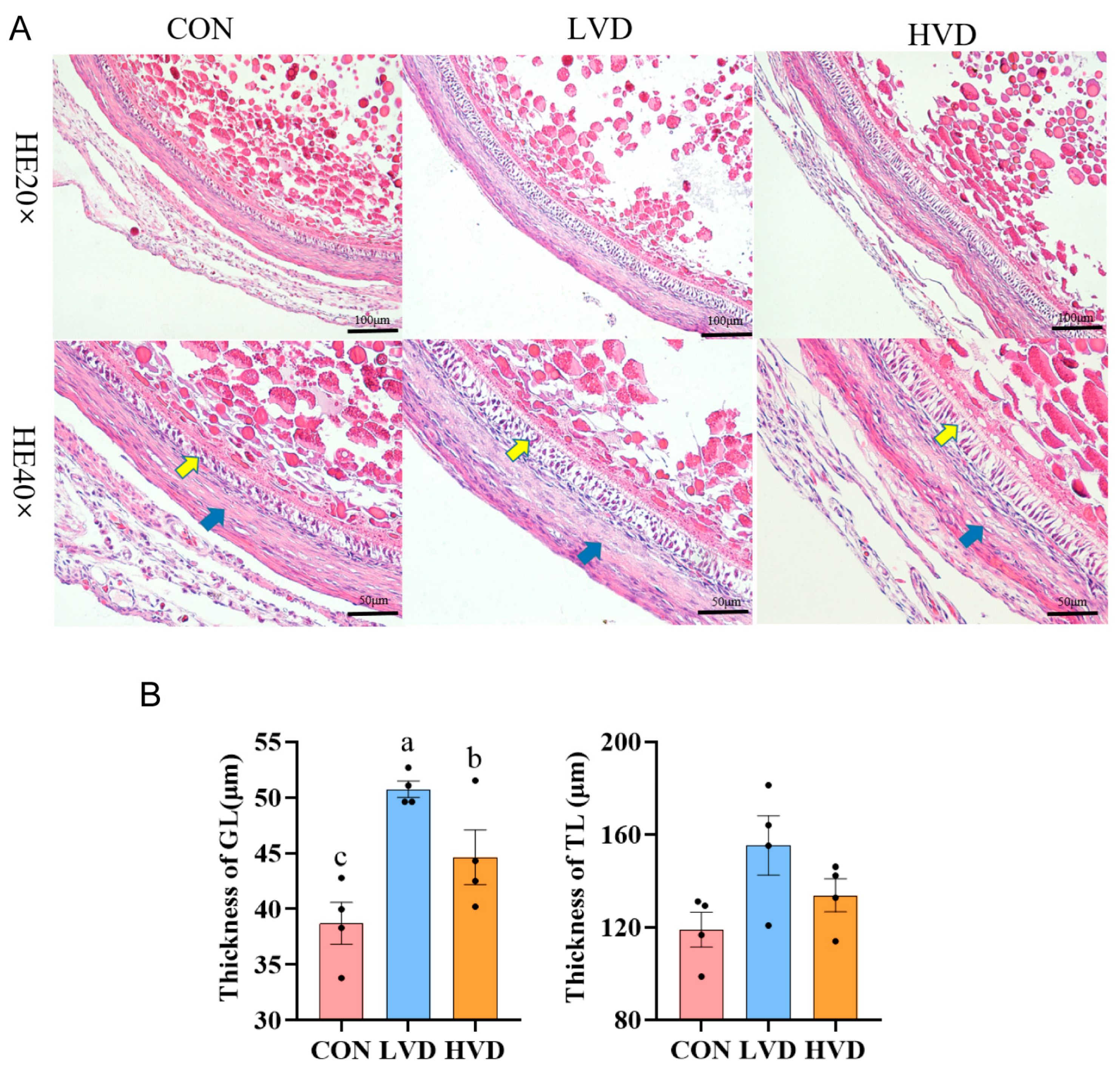 Cimb 45 00256 g001 Cimb 45 00256 g001